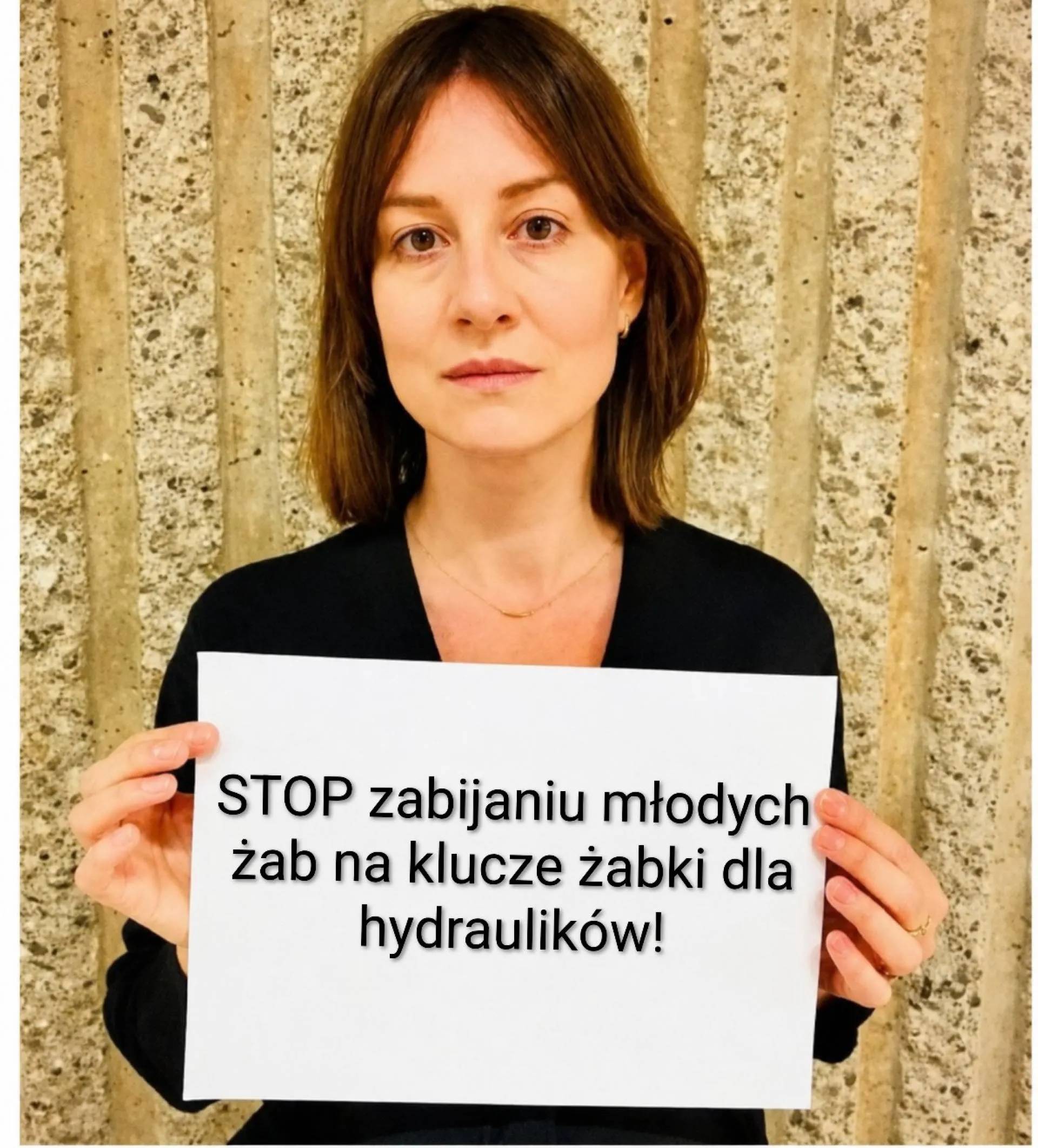 Żabki