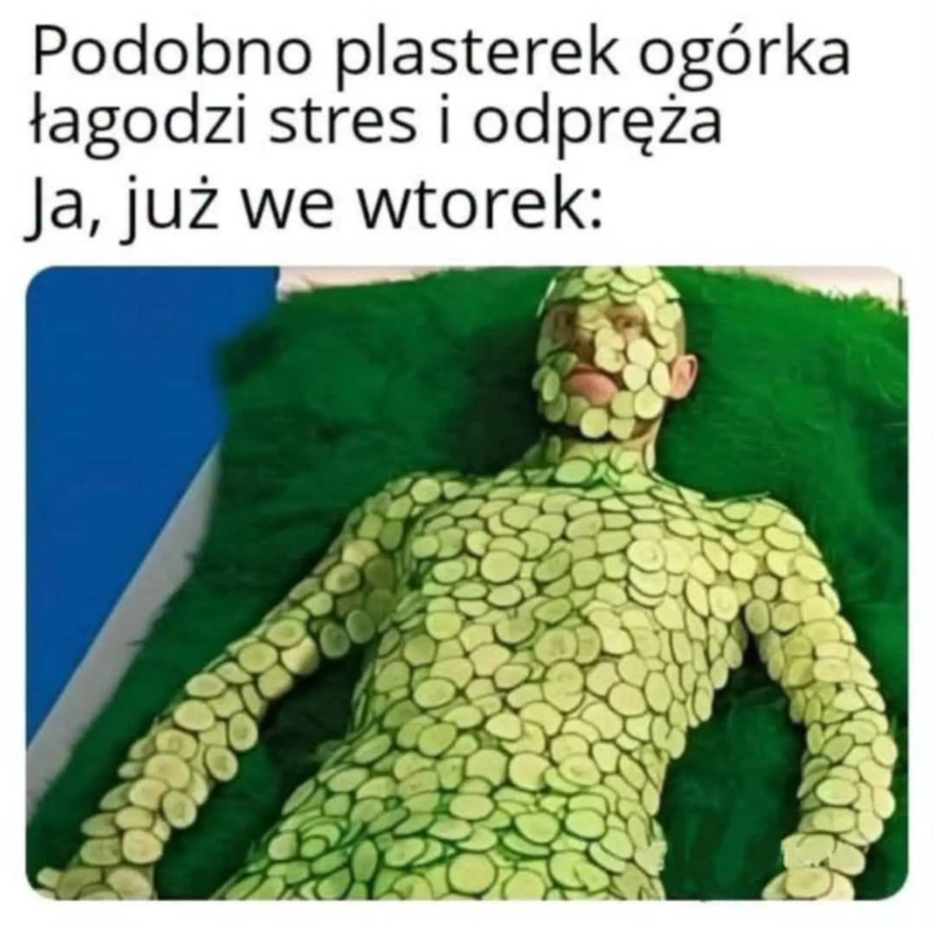 Plasterek ogórka