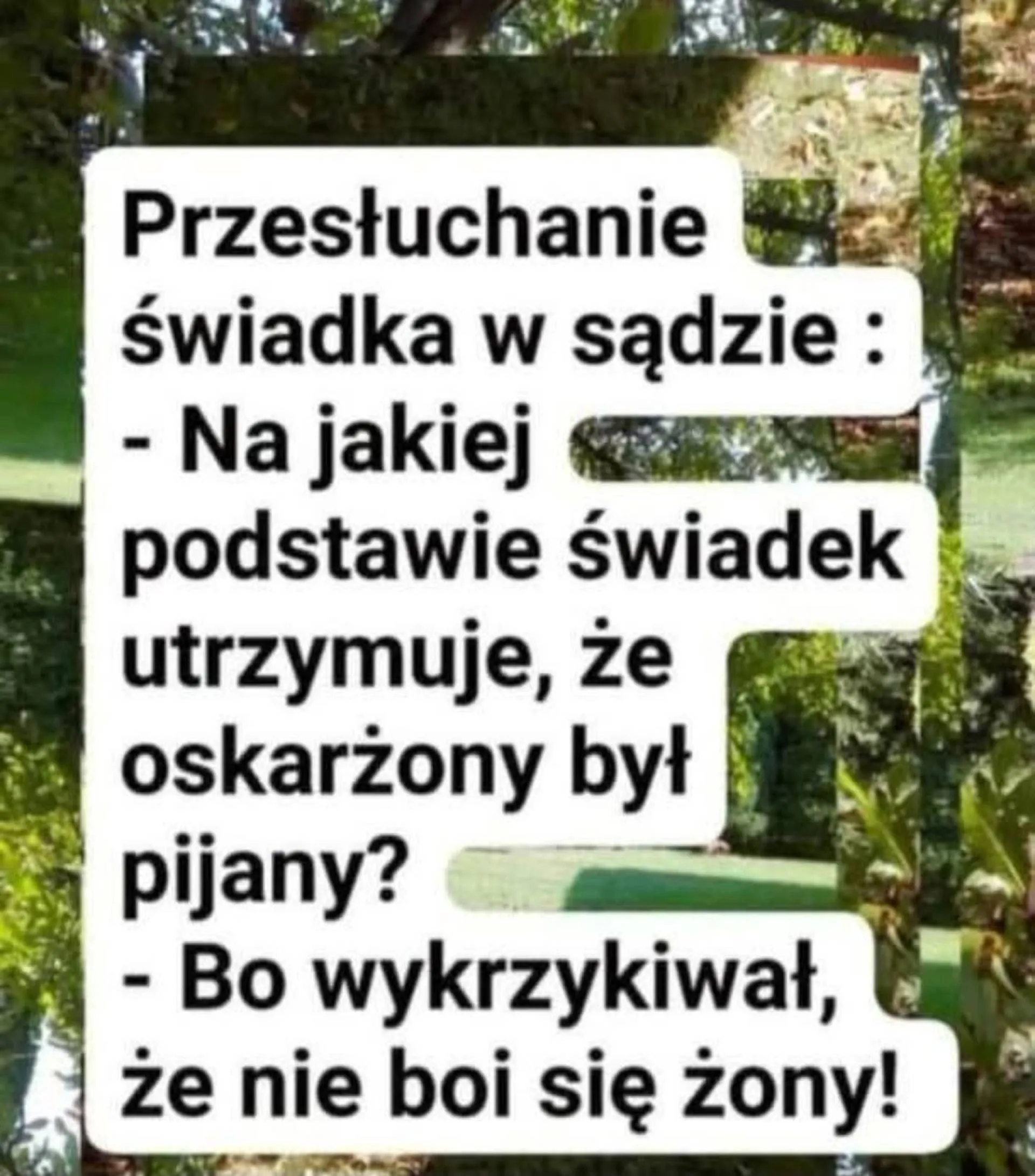 Przesłuchanie