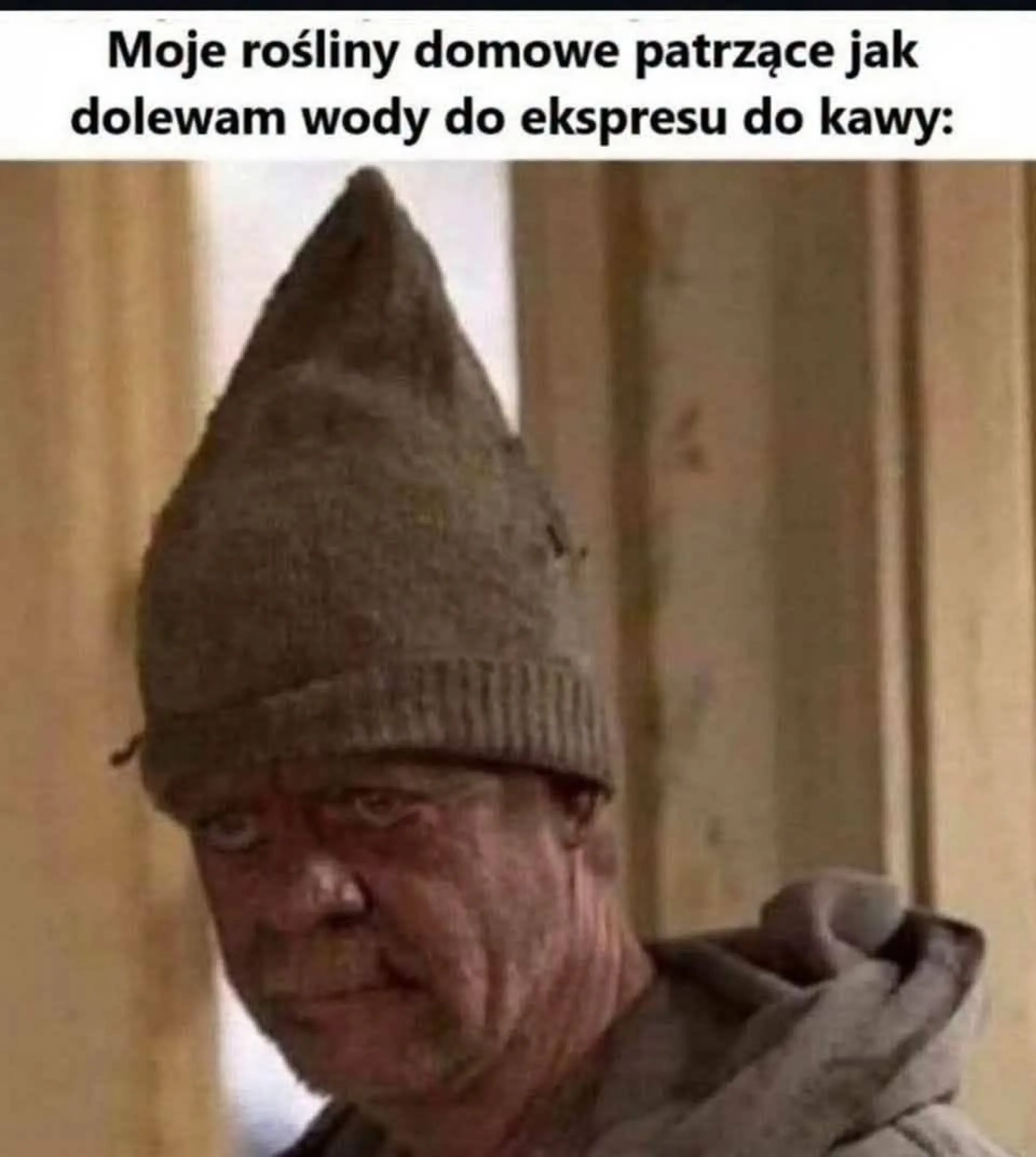 Rośliny
