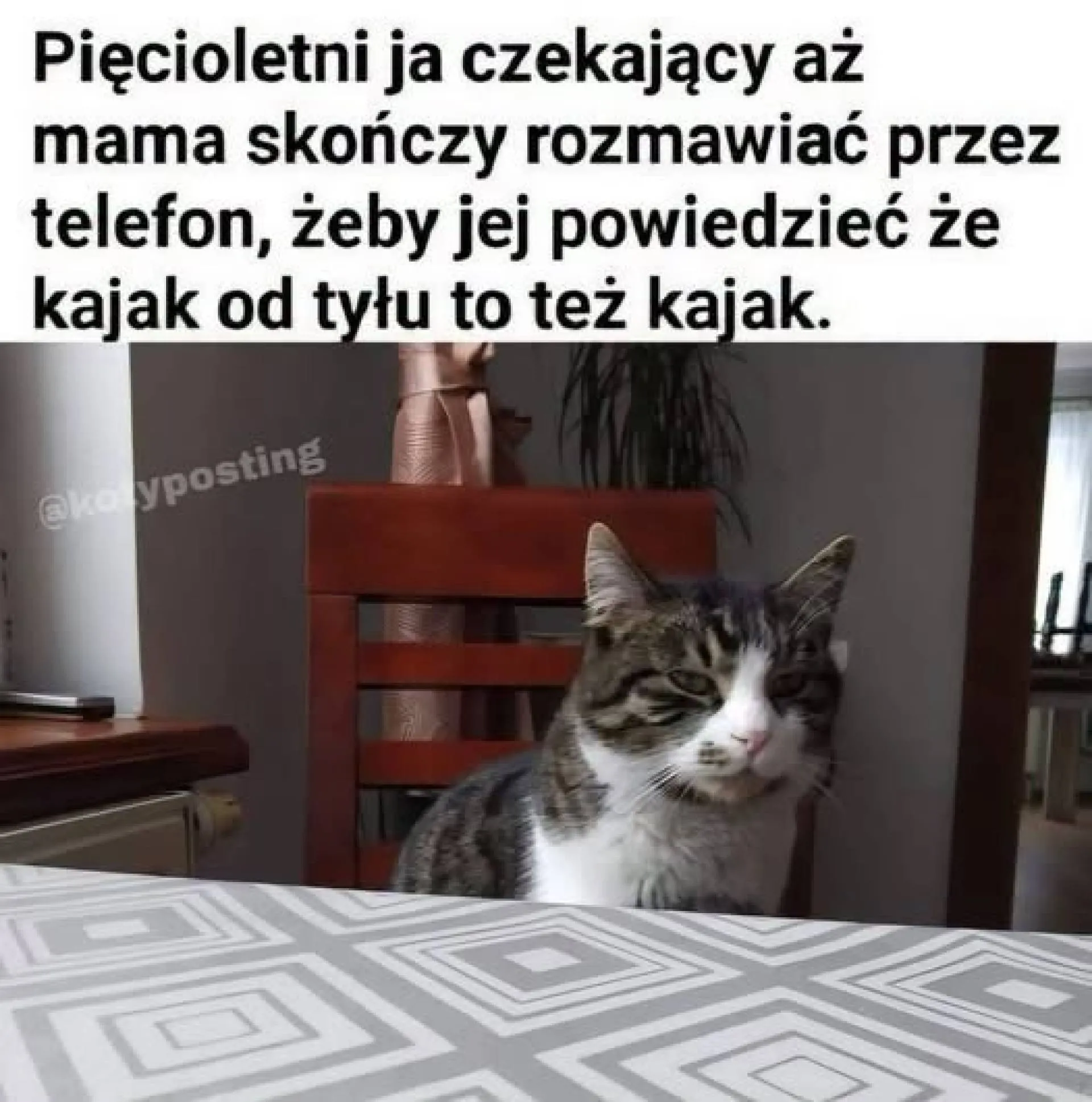 Kajak