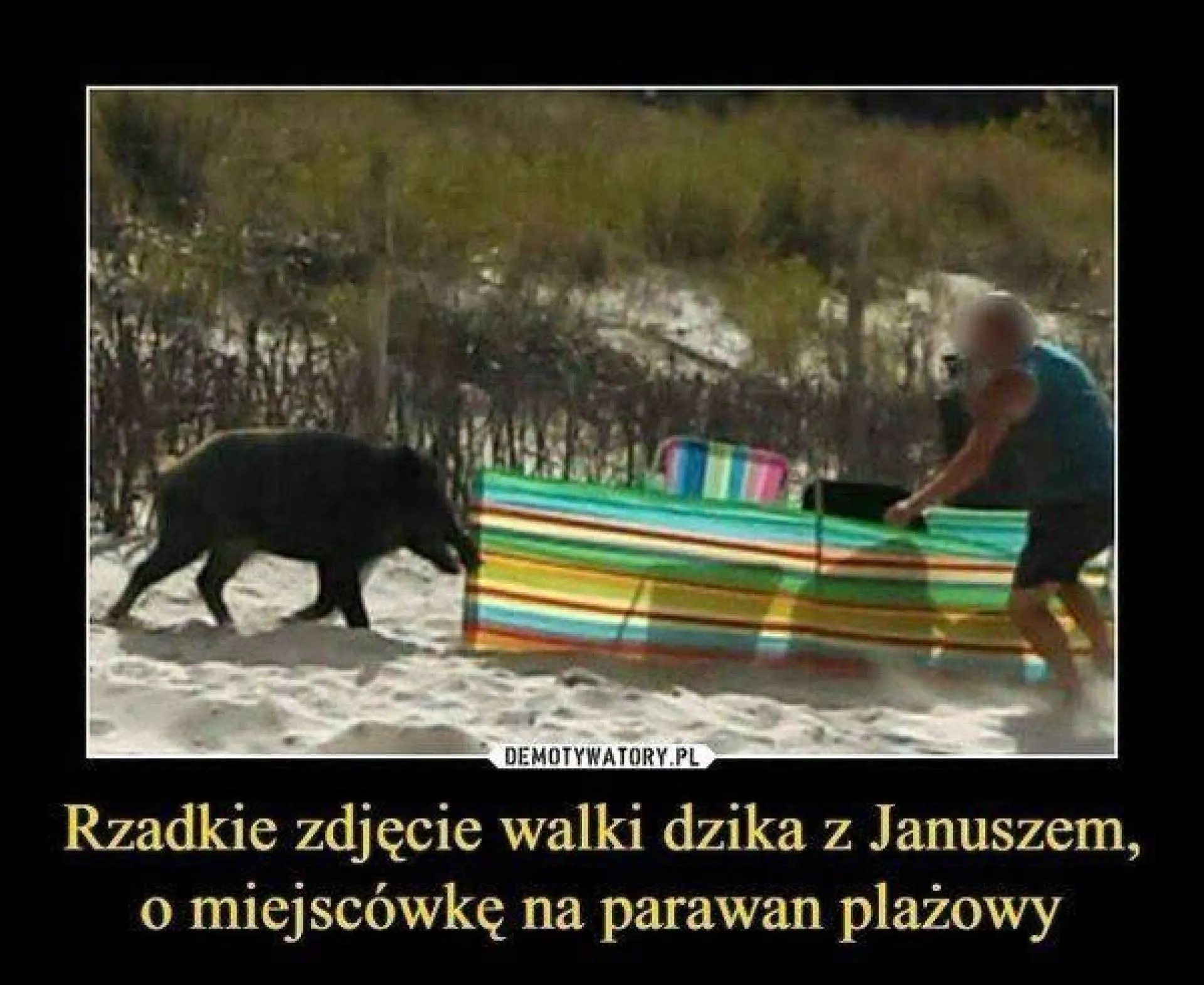 Walka