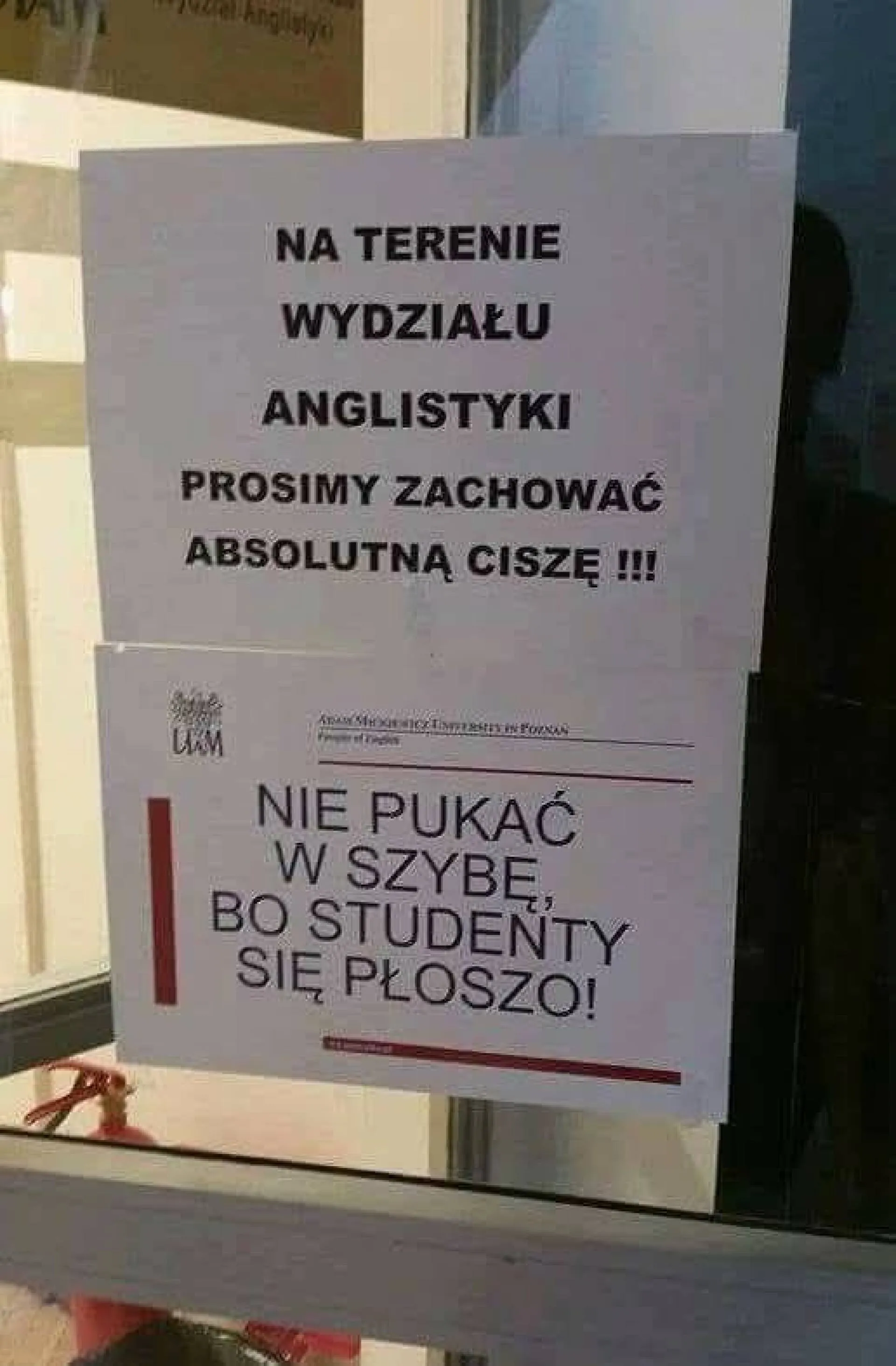 Studenty