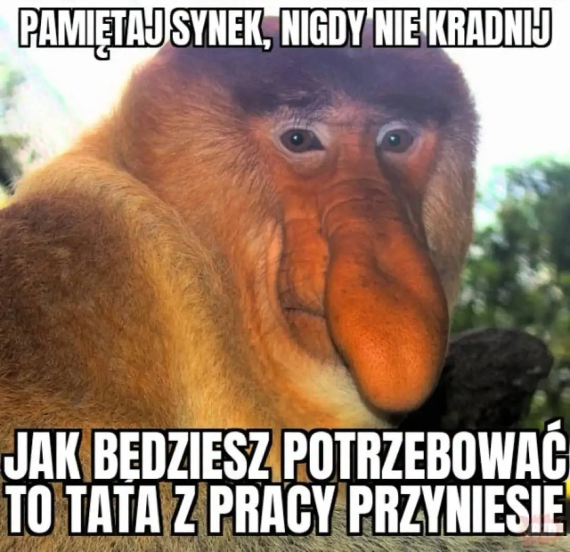 Synu