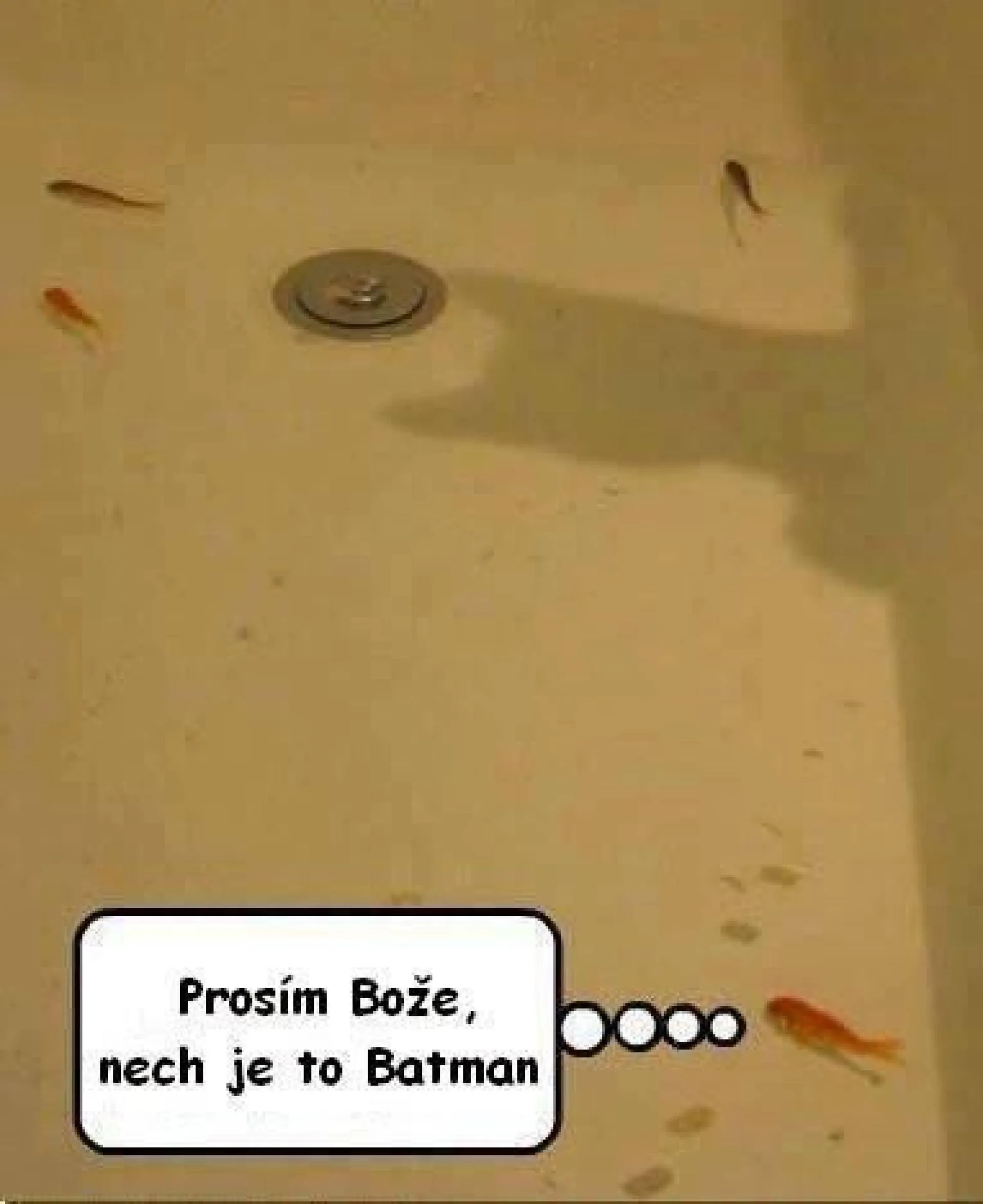 Niepokojący cień