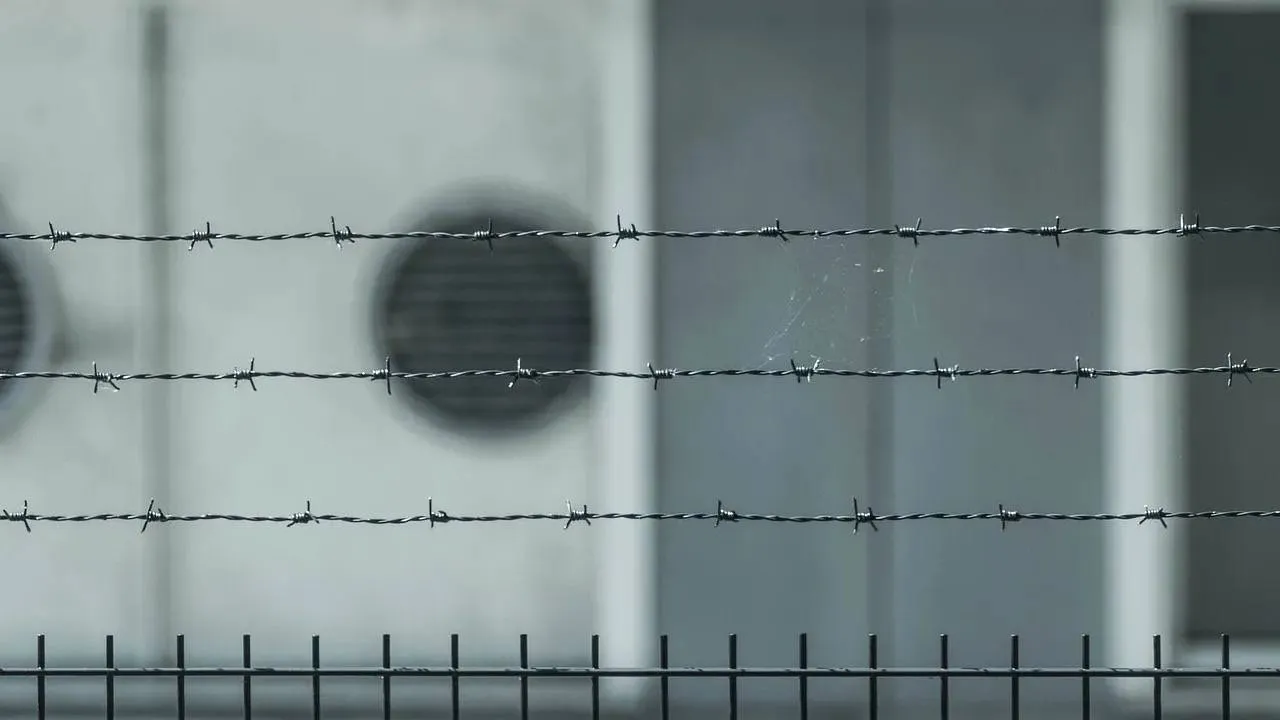 Bracia Tate w rękach służb. Nowe zarzuty są poważne [WIDEO]