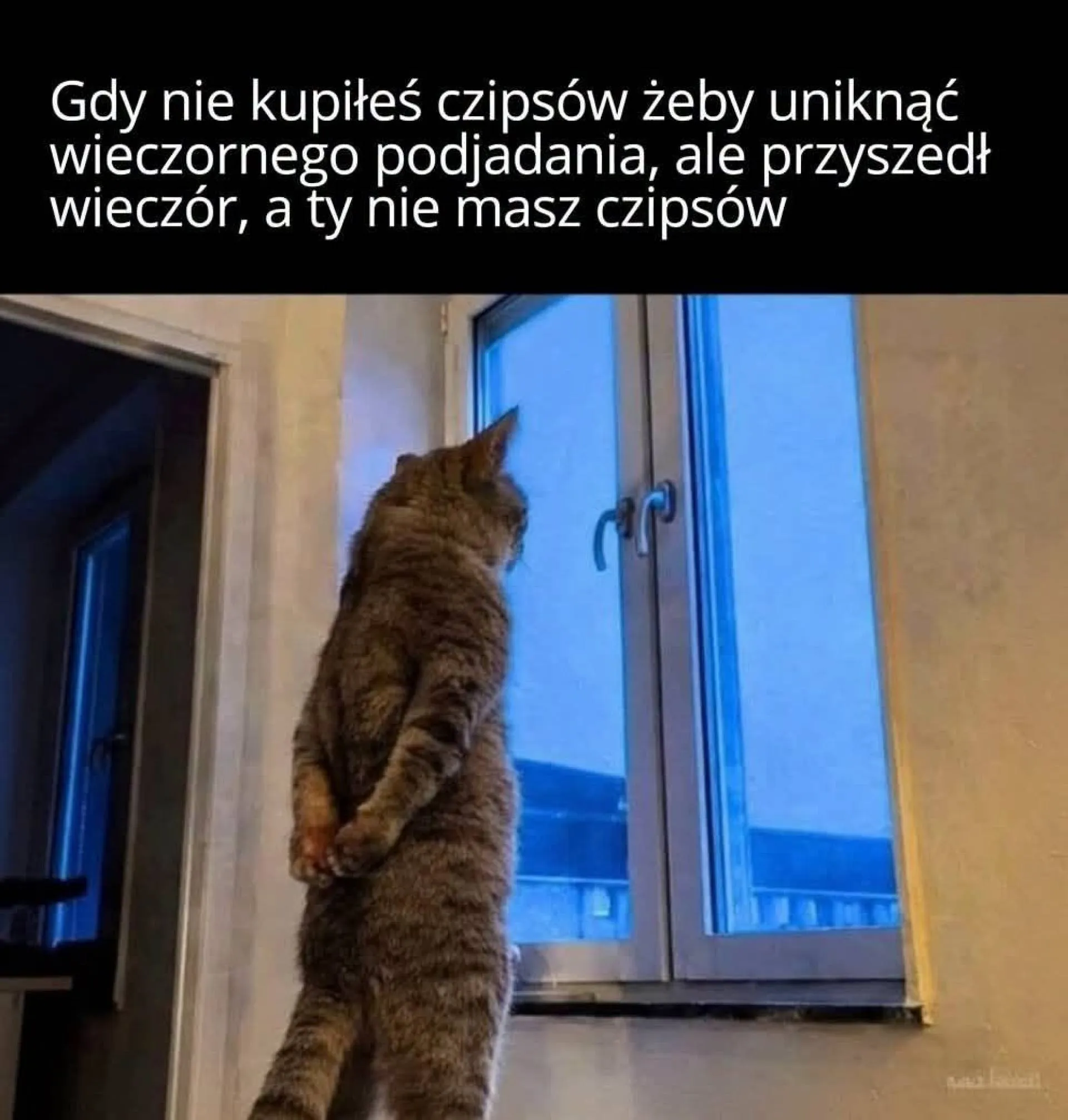 Chipsy