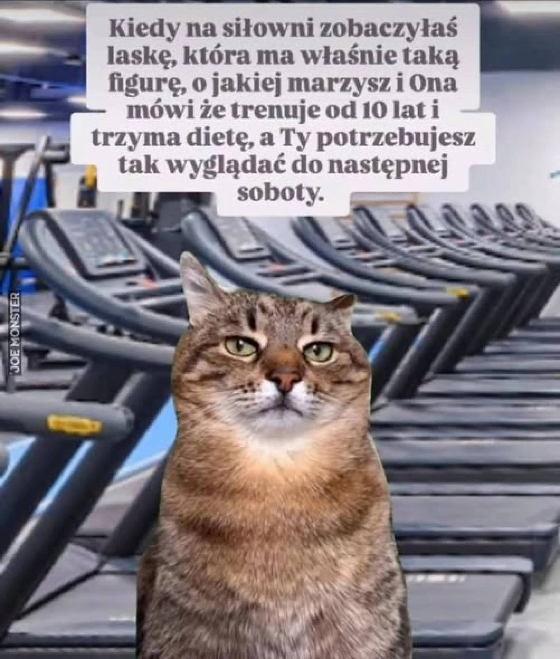 Zostało kilka dni