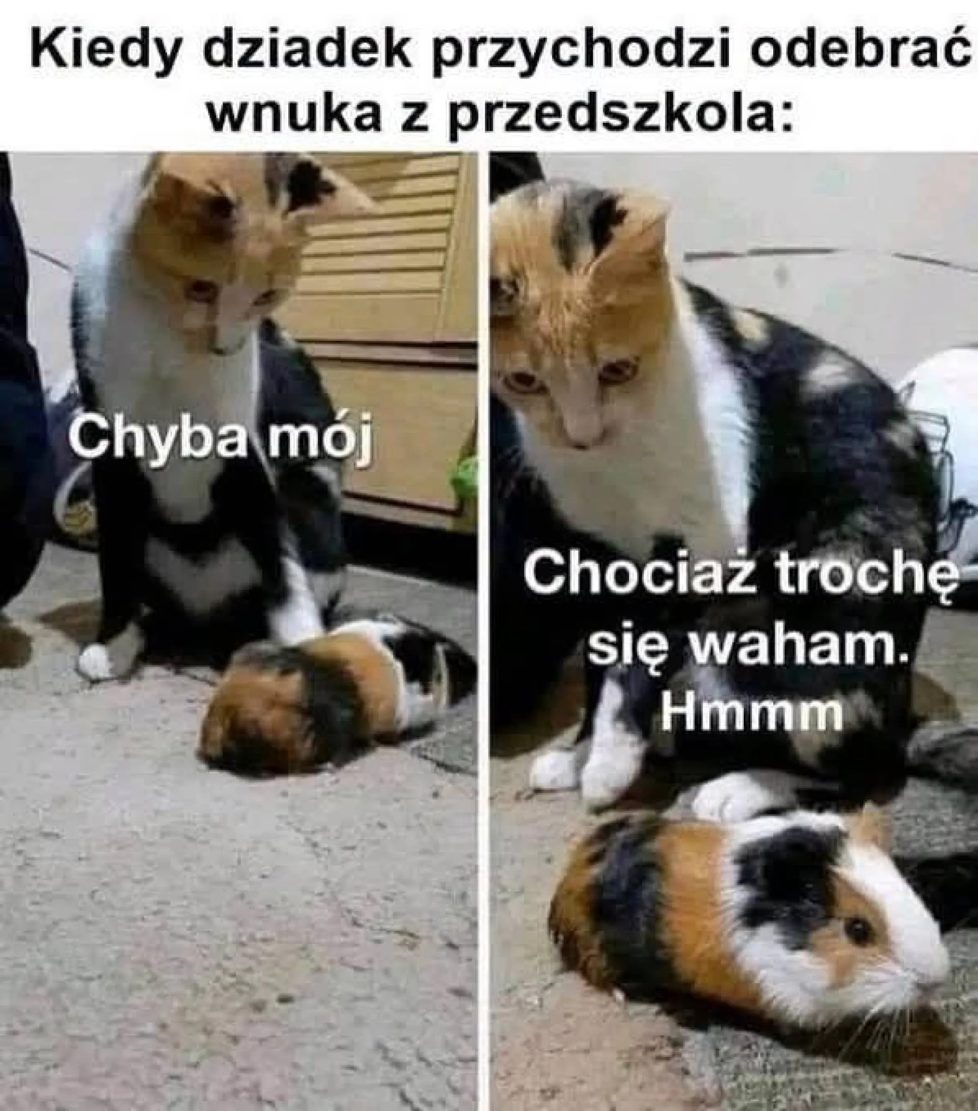 Dziadek w przedszkolu