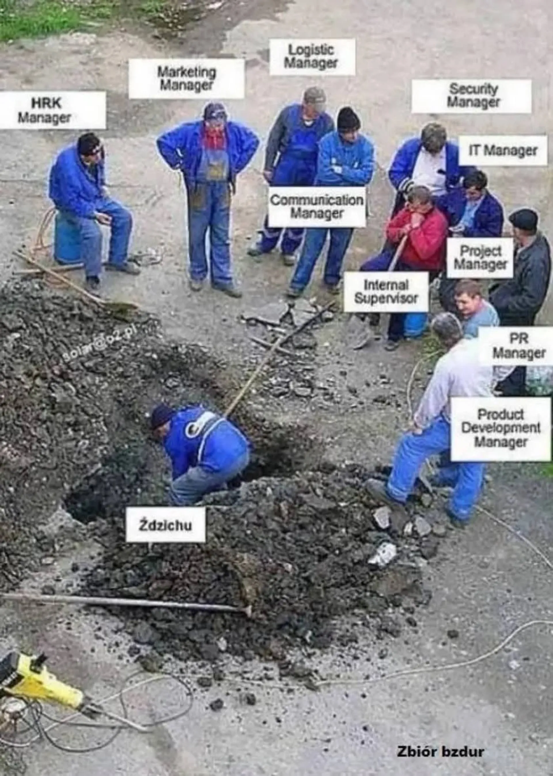 Zdzichu daje radę