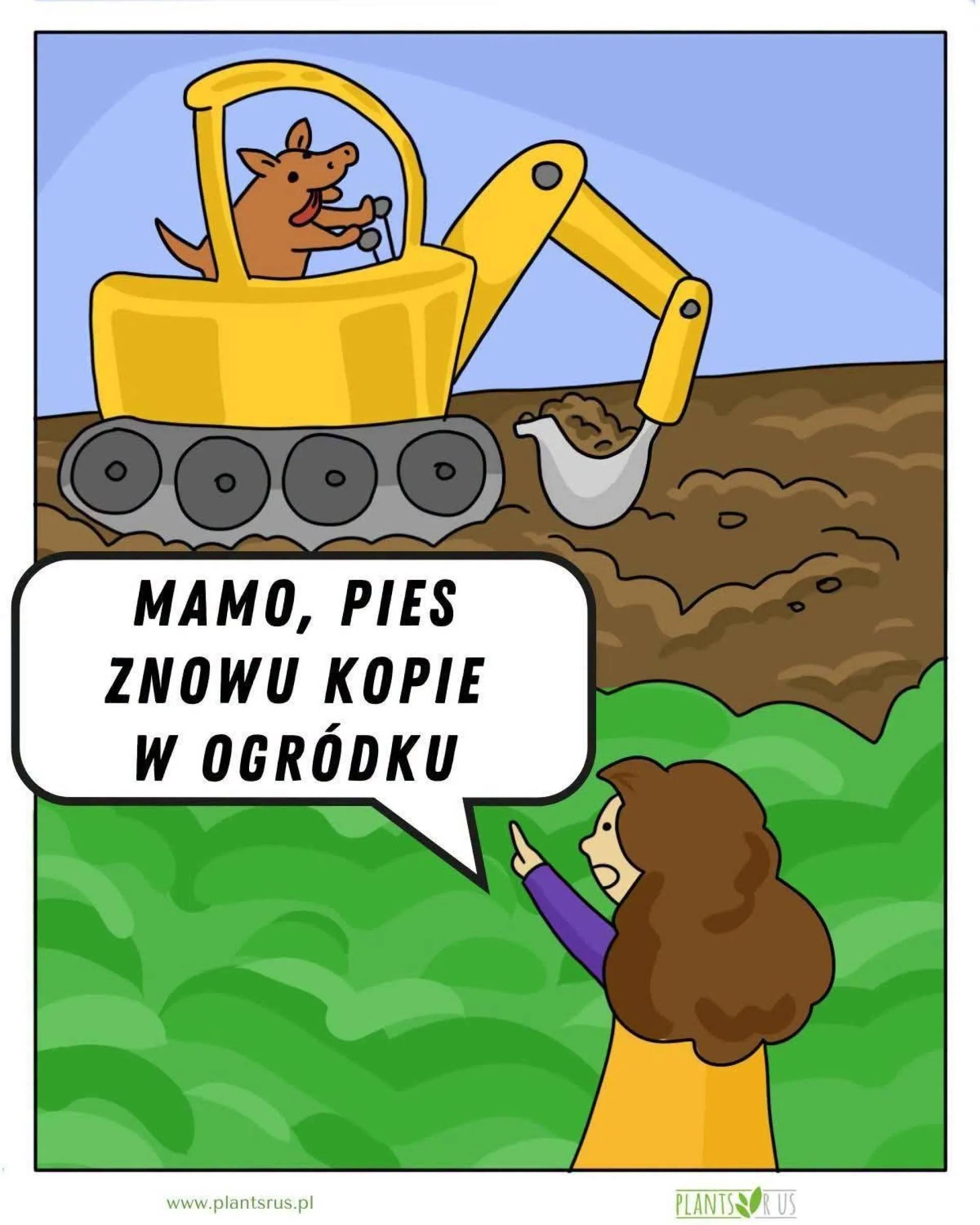 Mamo