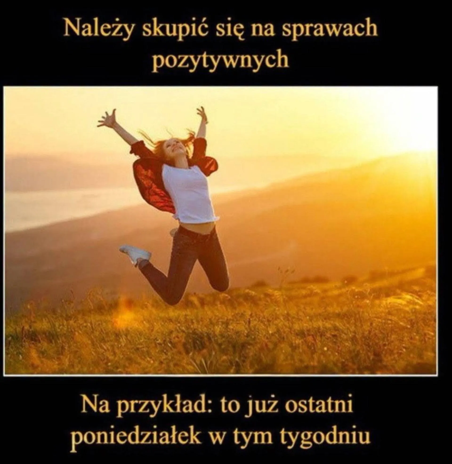 Plusy