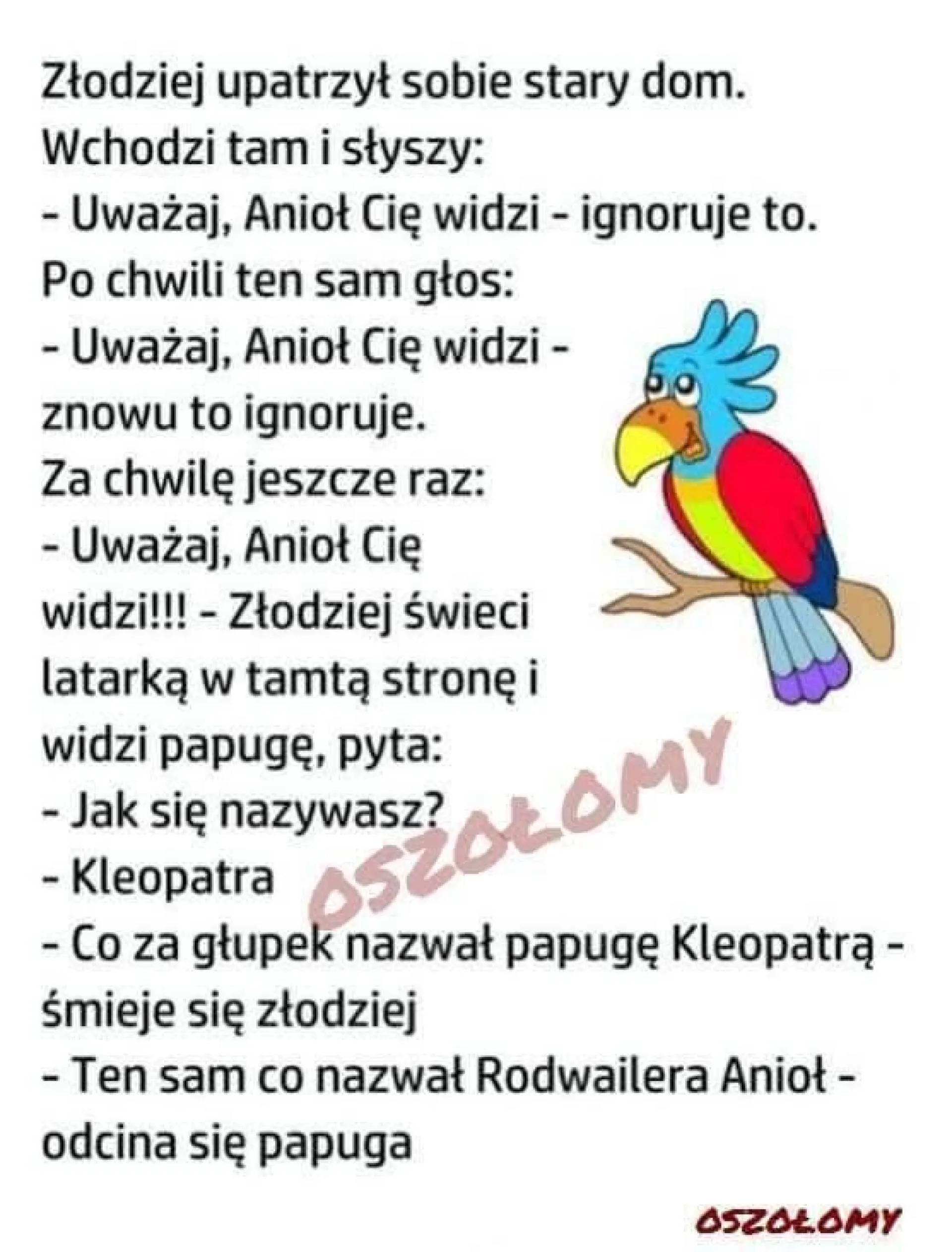 Anioł