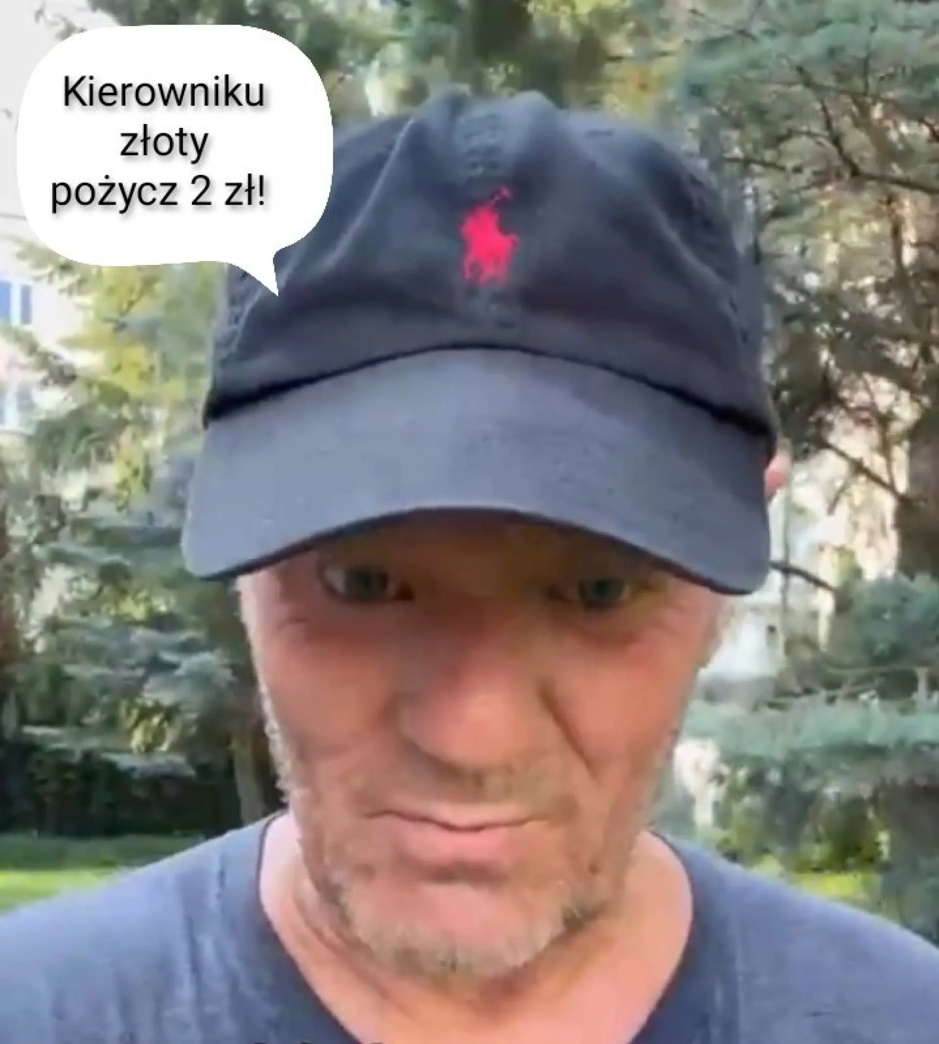 Kierowniku