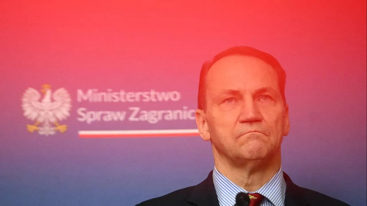 Firma była na celowniku OBWE w związku z kampanią wyborczą. Teraz poprowadzi YouTube MSZ Sikorskiego