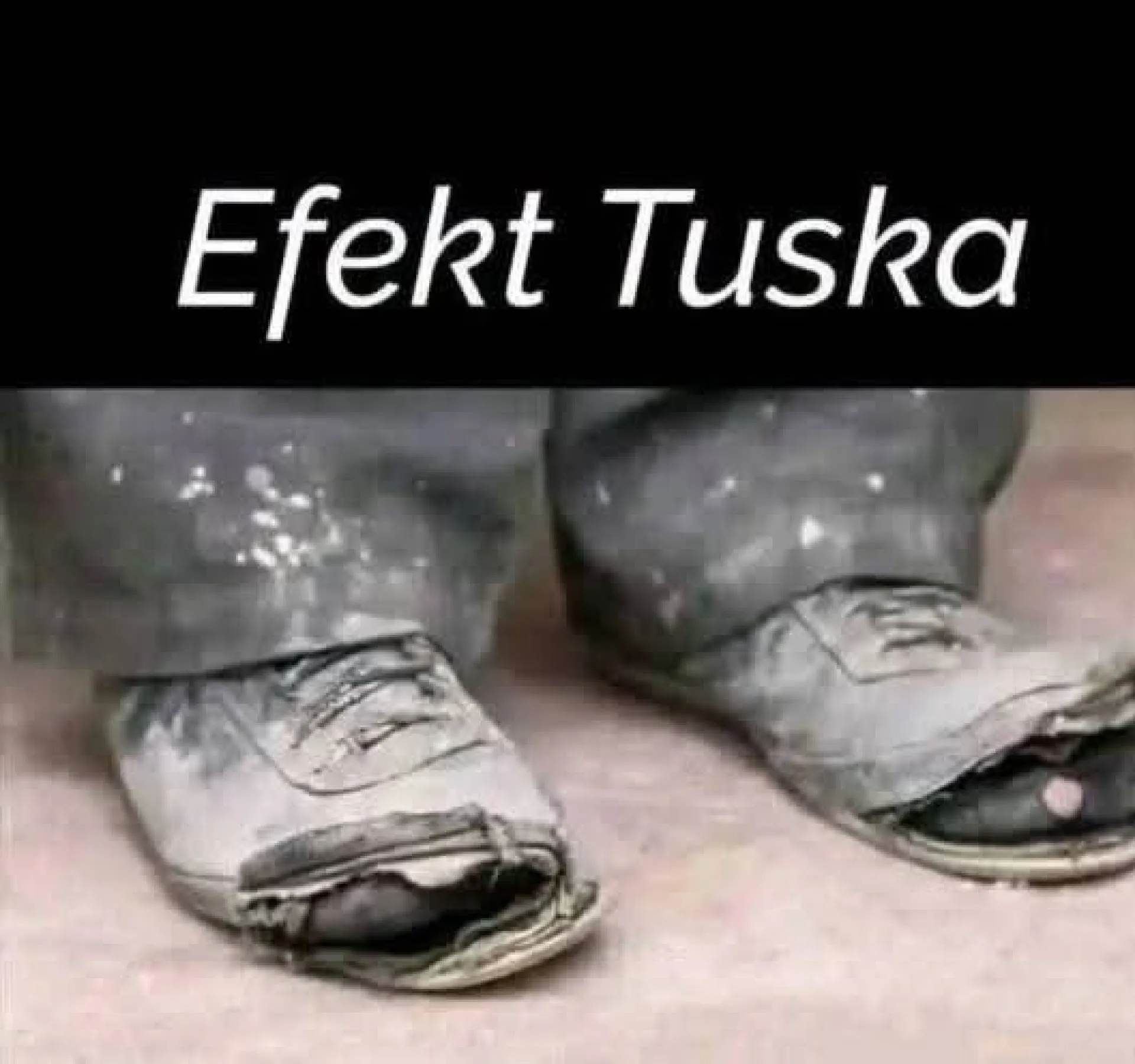 Efekt