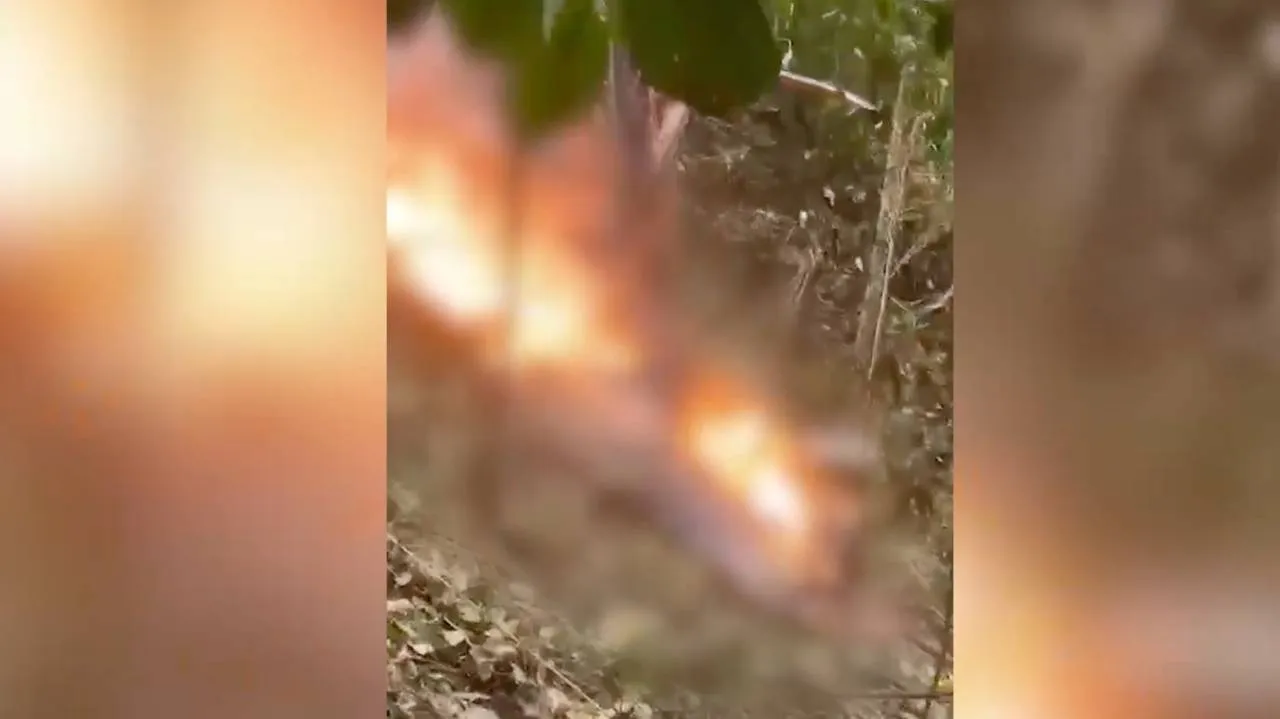 Tragedia podczas wakacji. Dziewczynka widziała, jak giną jej najbliżsi
