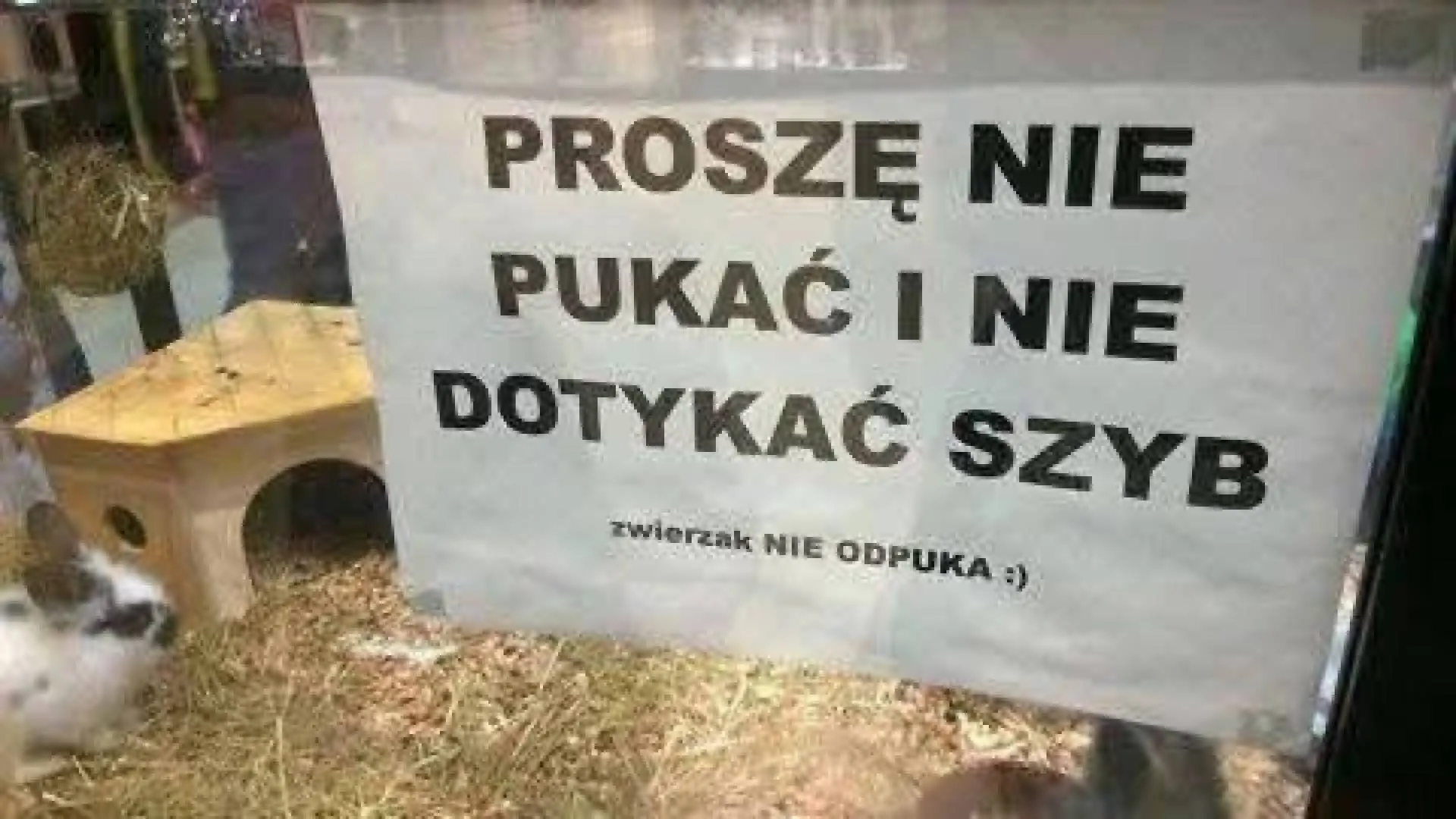 Instrukcja dla opornych