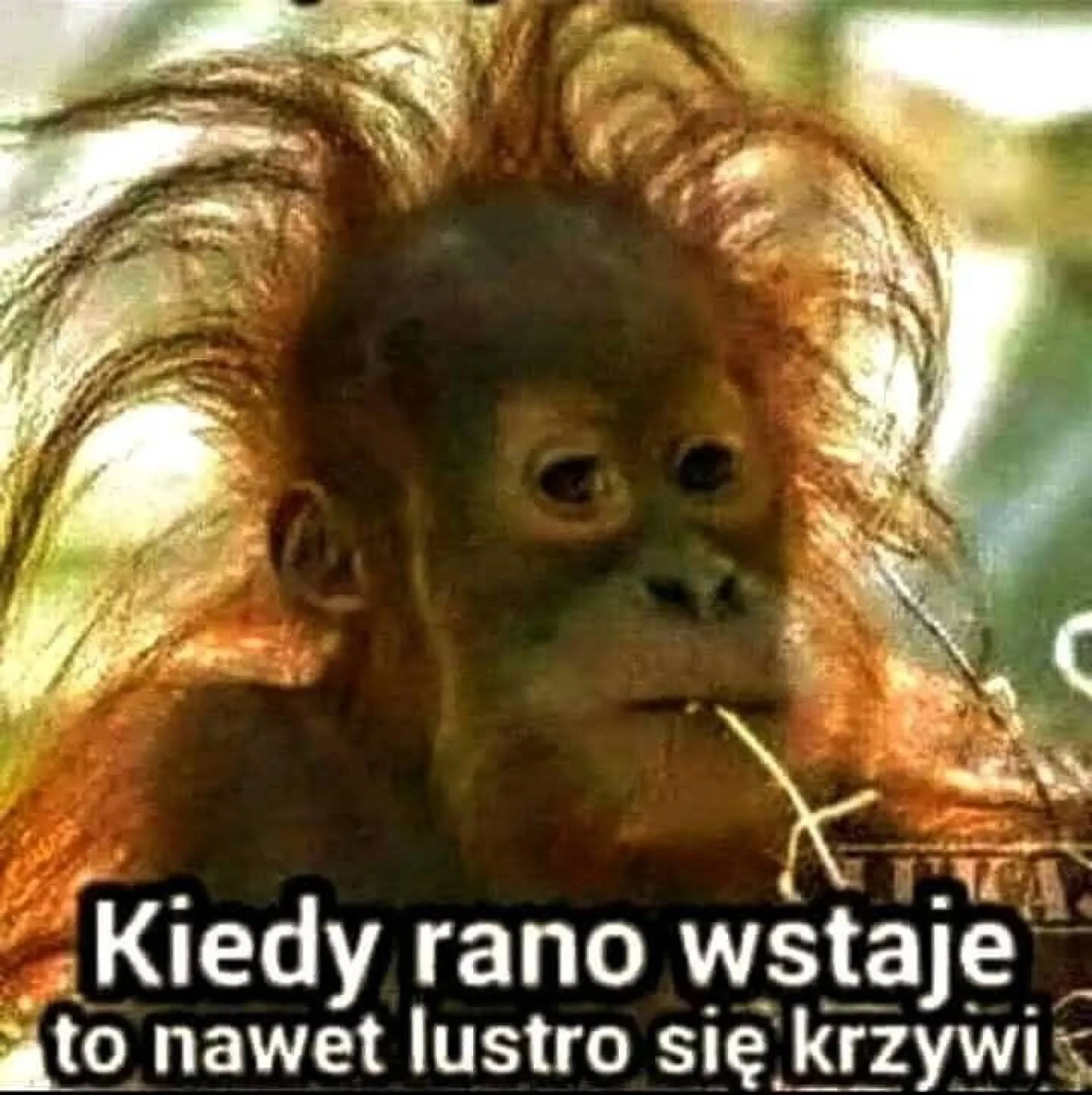 Poranki
