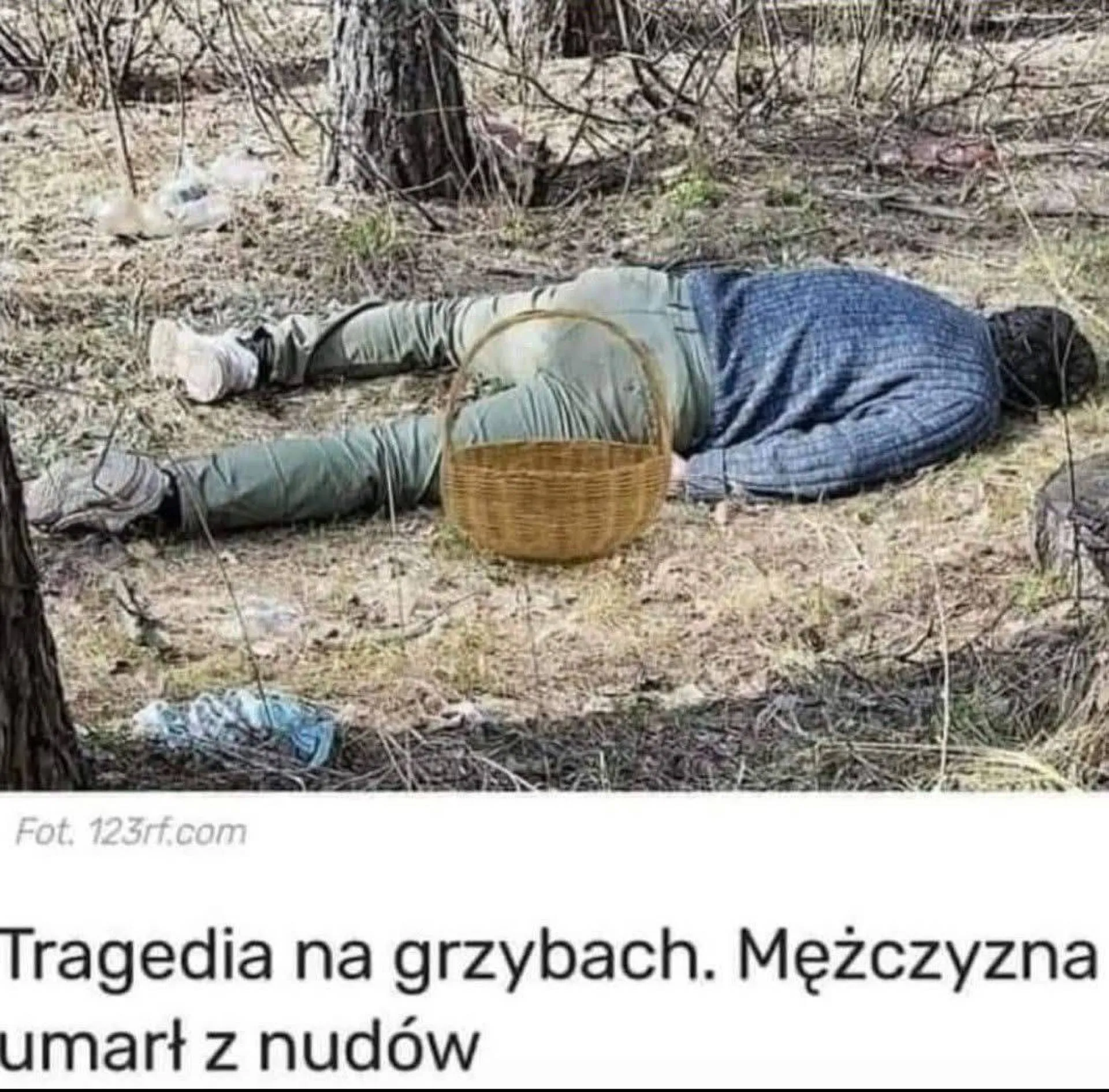 Grzybów brak