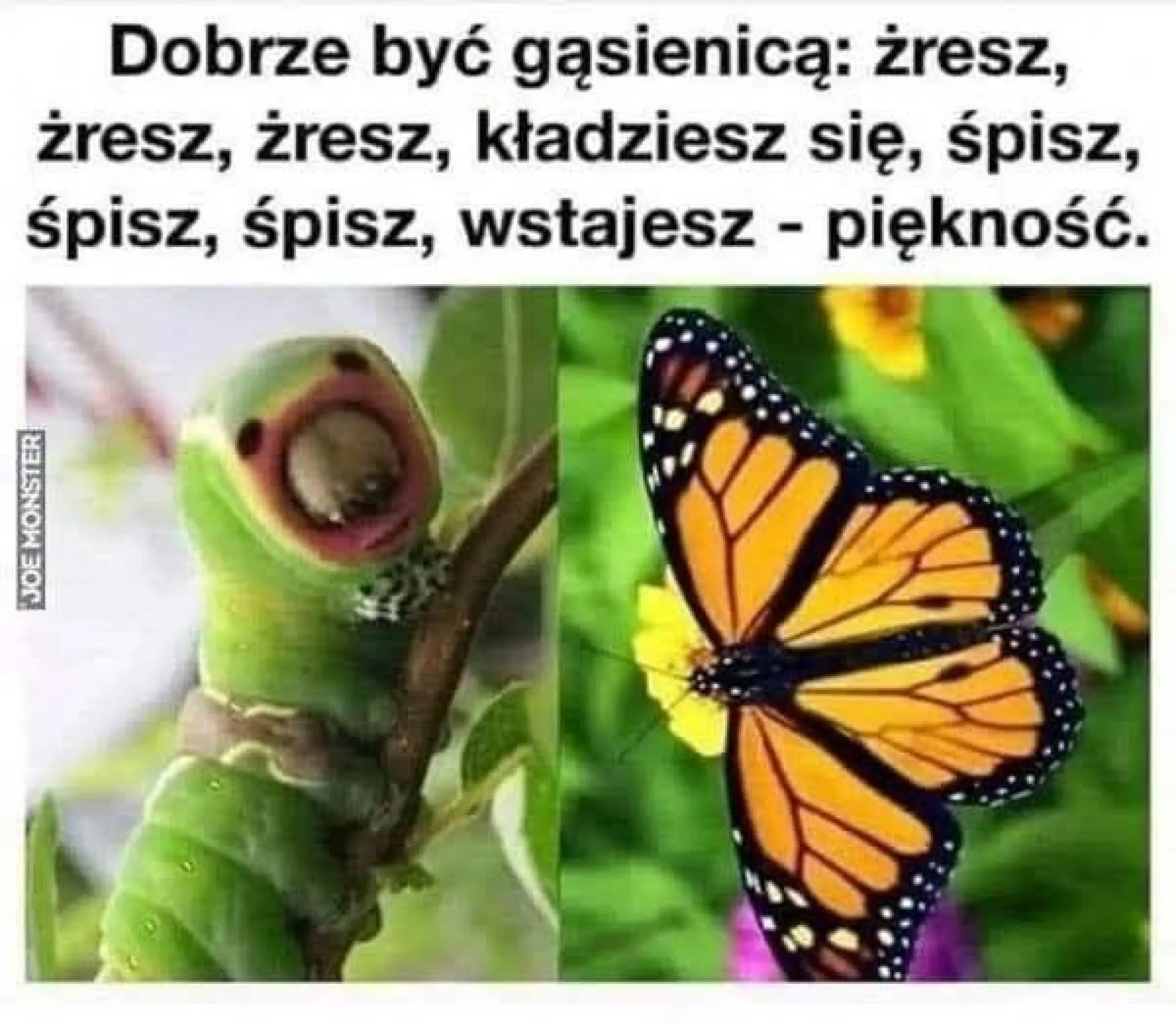 Tak trzeba żyć