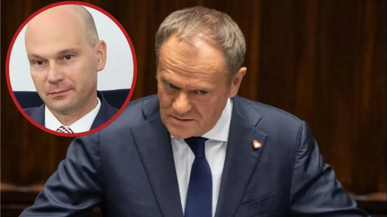 Prawa ręka Tuska poza rządem. Ma być sędzią Trybunału Konstytucyjnego. Wąsik: Immunitet 9-letni to jest coś