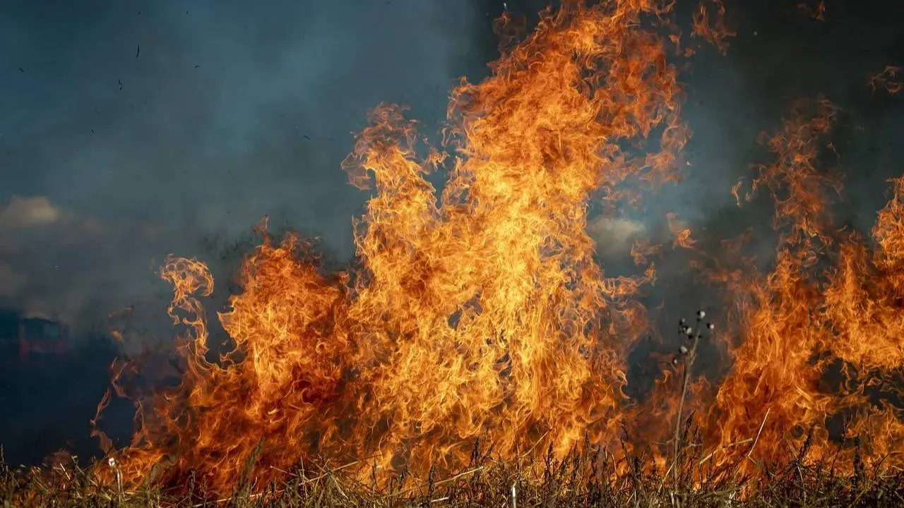 Największy pożar w historii kraju! Ogień strawił 3 tys. hektarów