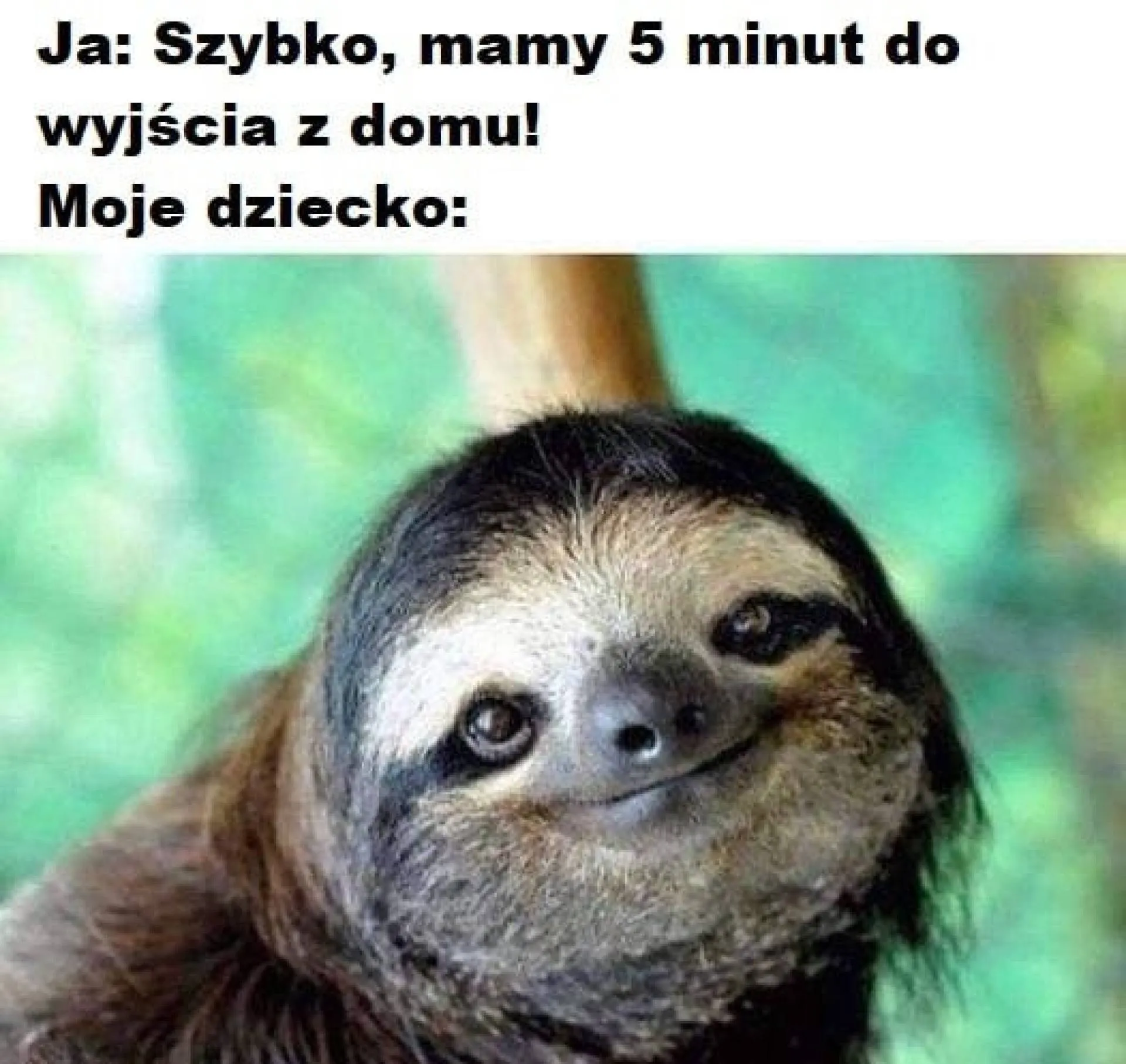 5 minut