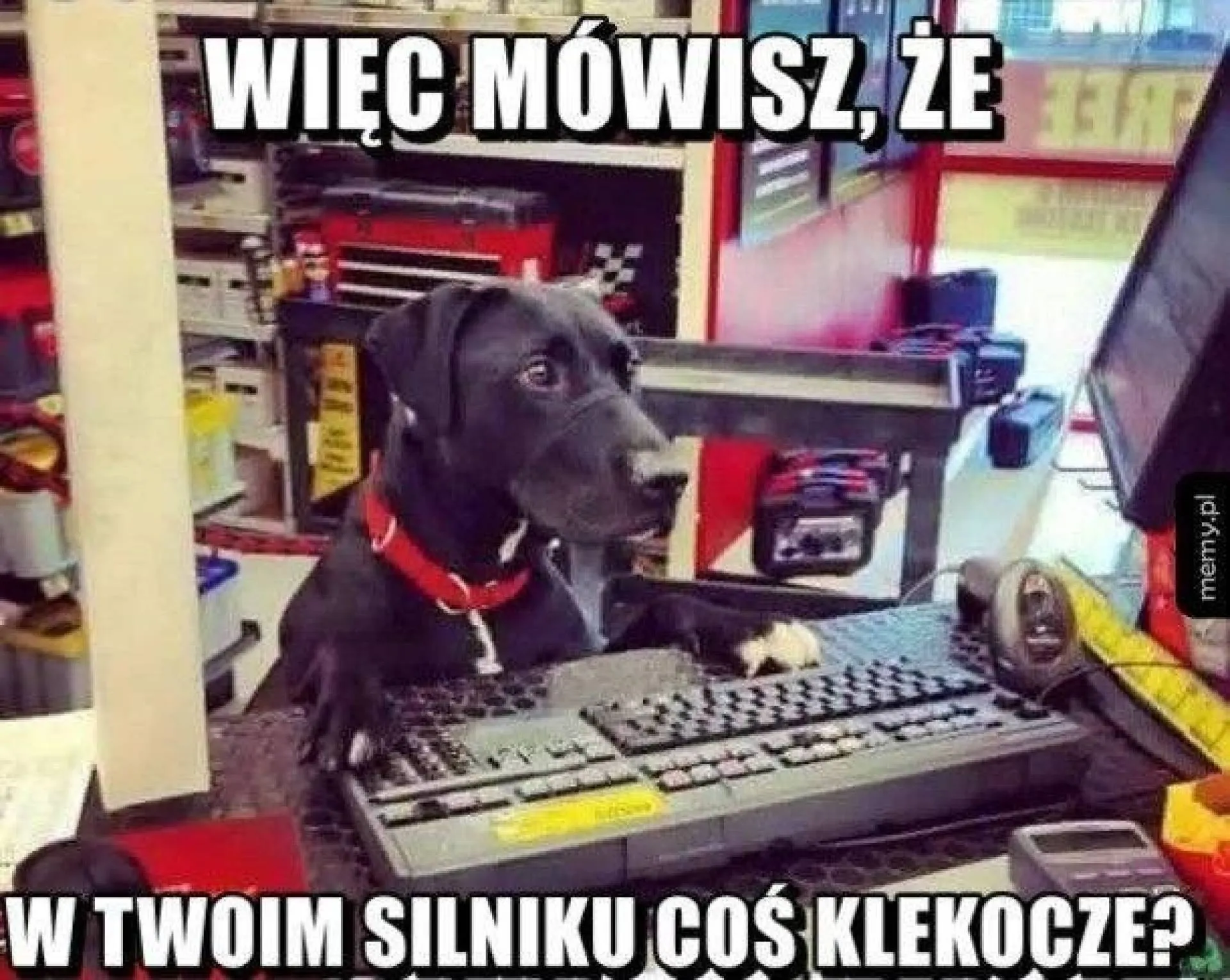 Mówisz?