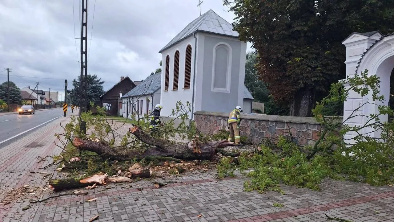 Powalone drzewa i zalane posesje. "Zgłoszenia cały czas napływają"