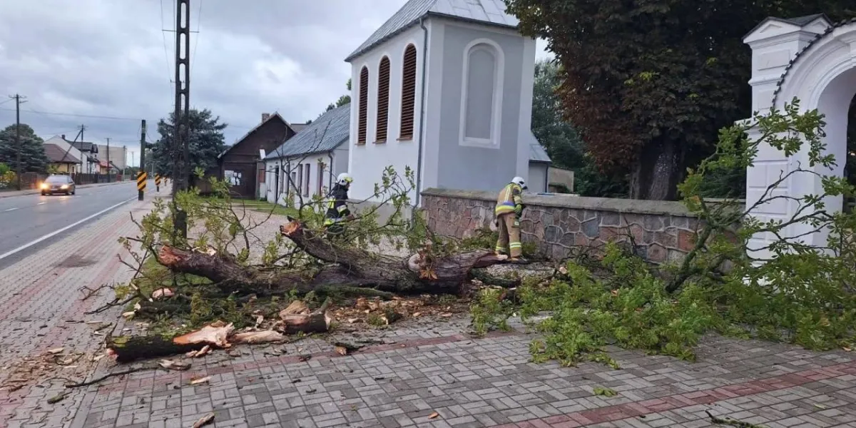 Powalone drzewa i zalane posesje. "Zgłoszenia cały czas napływają"
