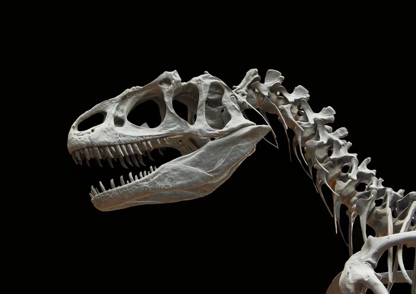 Quiz o dinozaurach