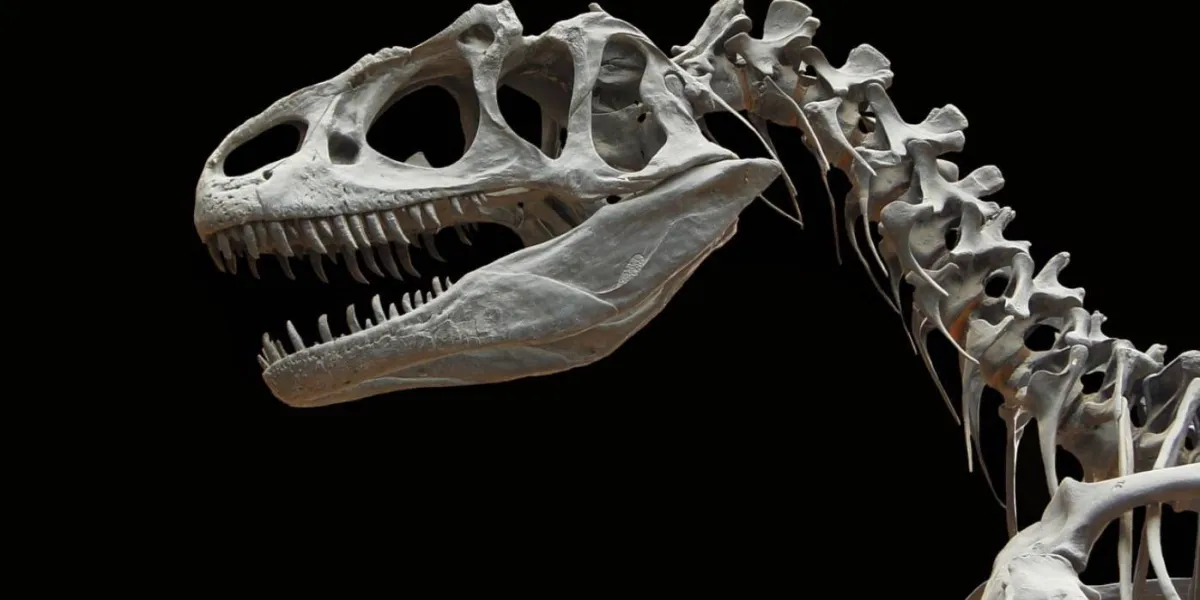 Szkielet dinozaura