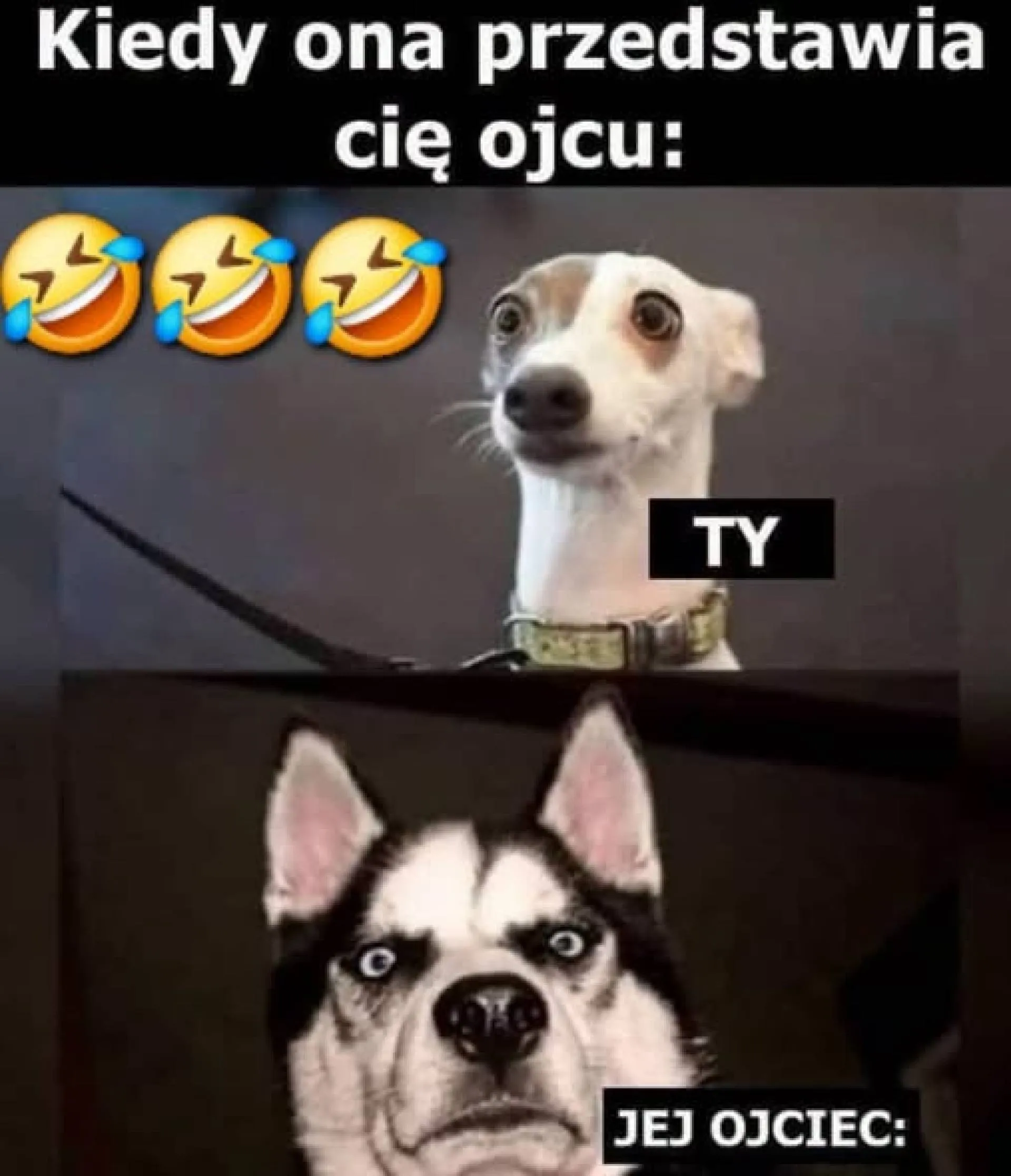 Cienka linia