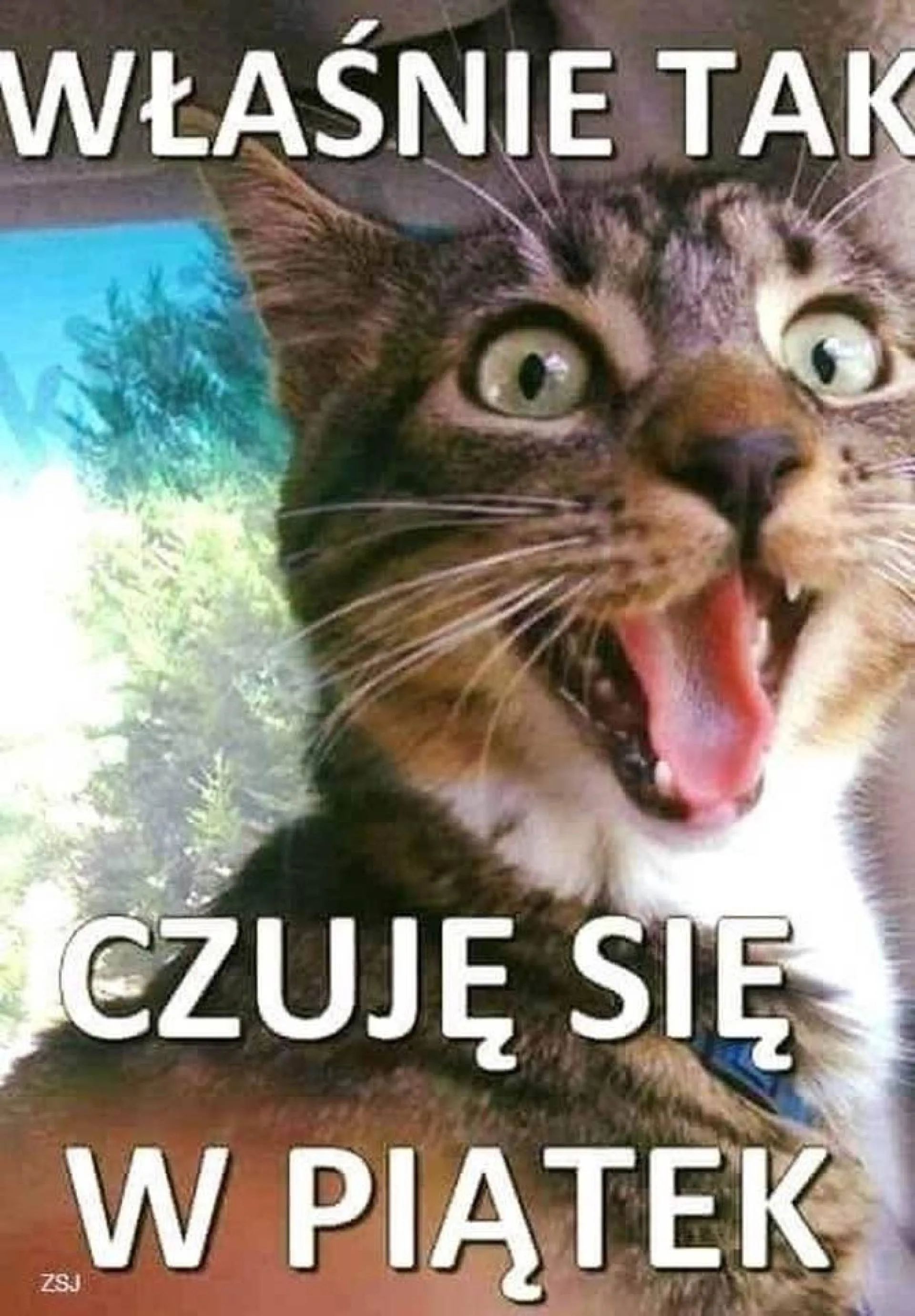 Ogieeeeeń