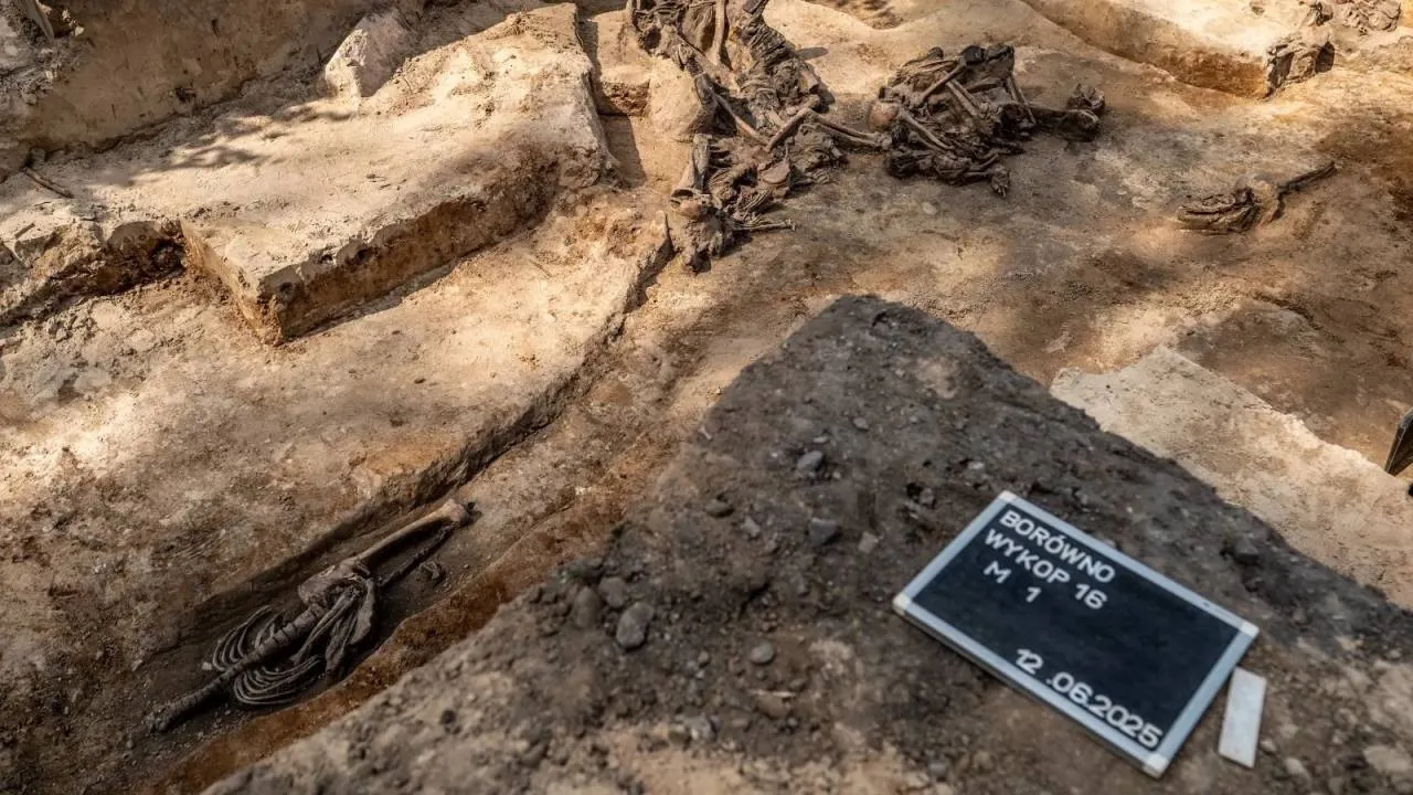 Szczątki ponad 150 osób