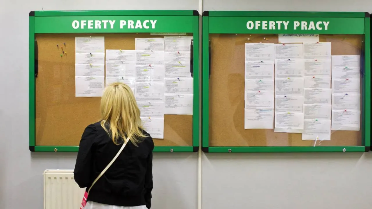 Bezrobocie wśród młodych coraz większym problem. "Przez dwa lata liczby wzrosły o 25 proc."