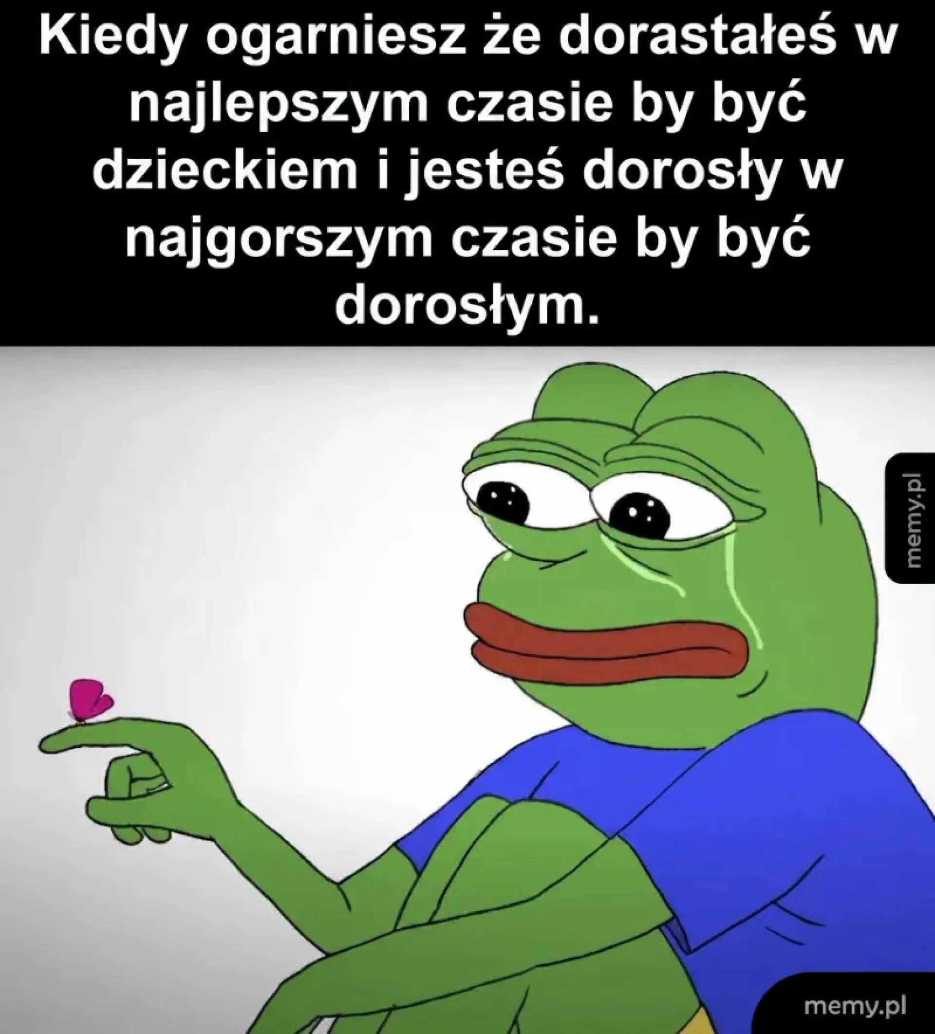 Niestety