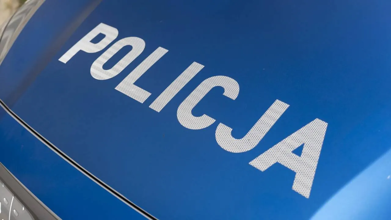 Wyszła z psem na spacer do lasu. Została zamordowana