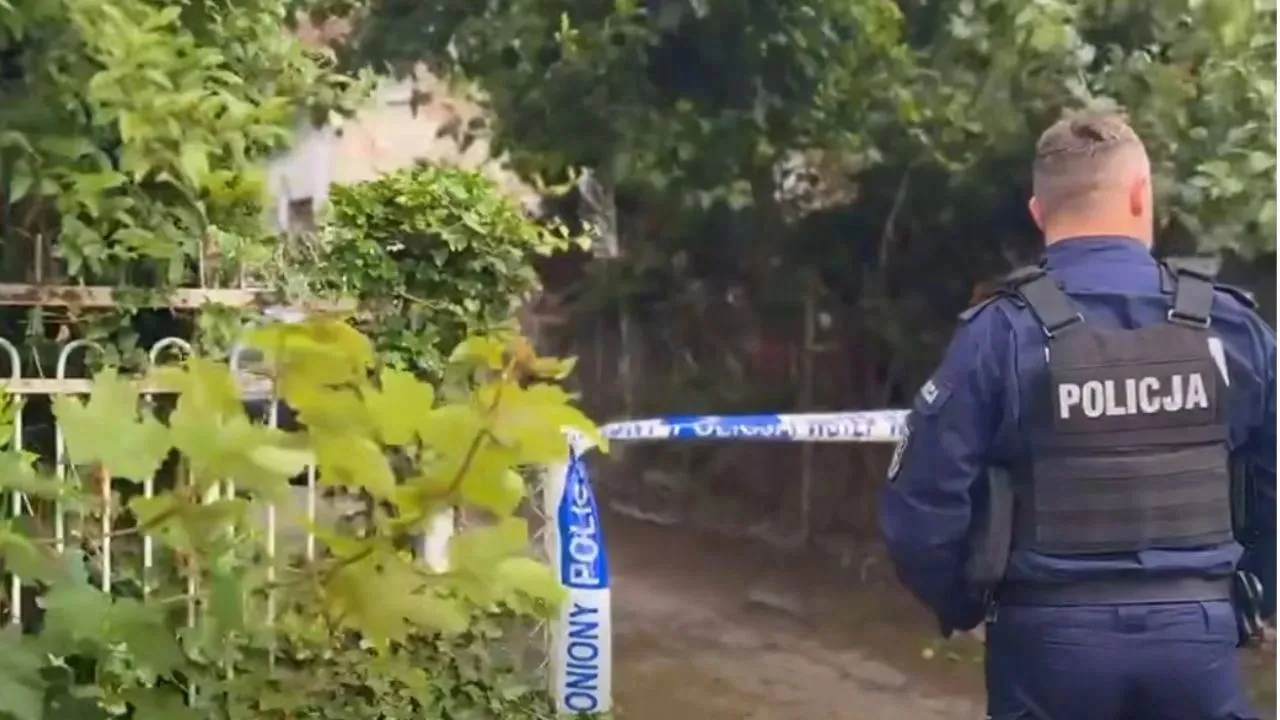 Rolnik pracował na polu. 20 metrów od zabudowań znalazł ponad 700 niewybuchów