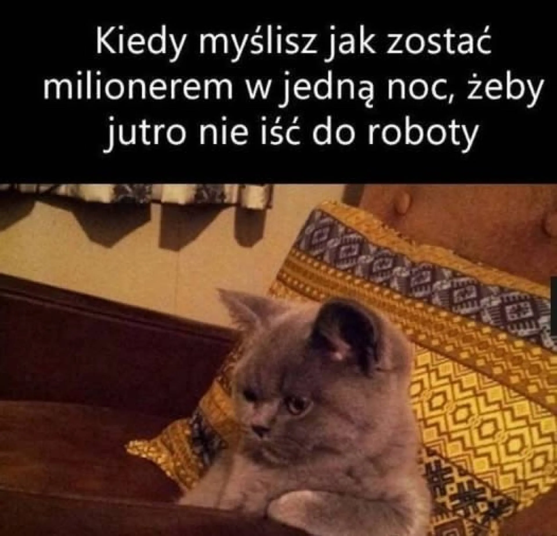 Myślisz