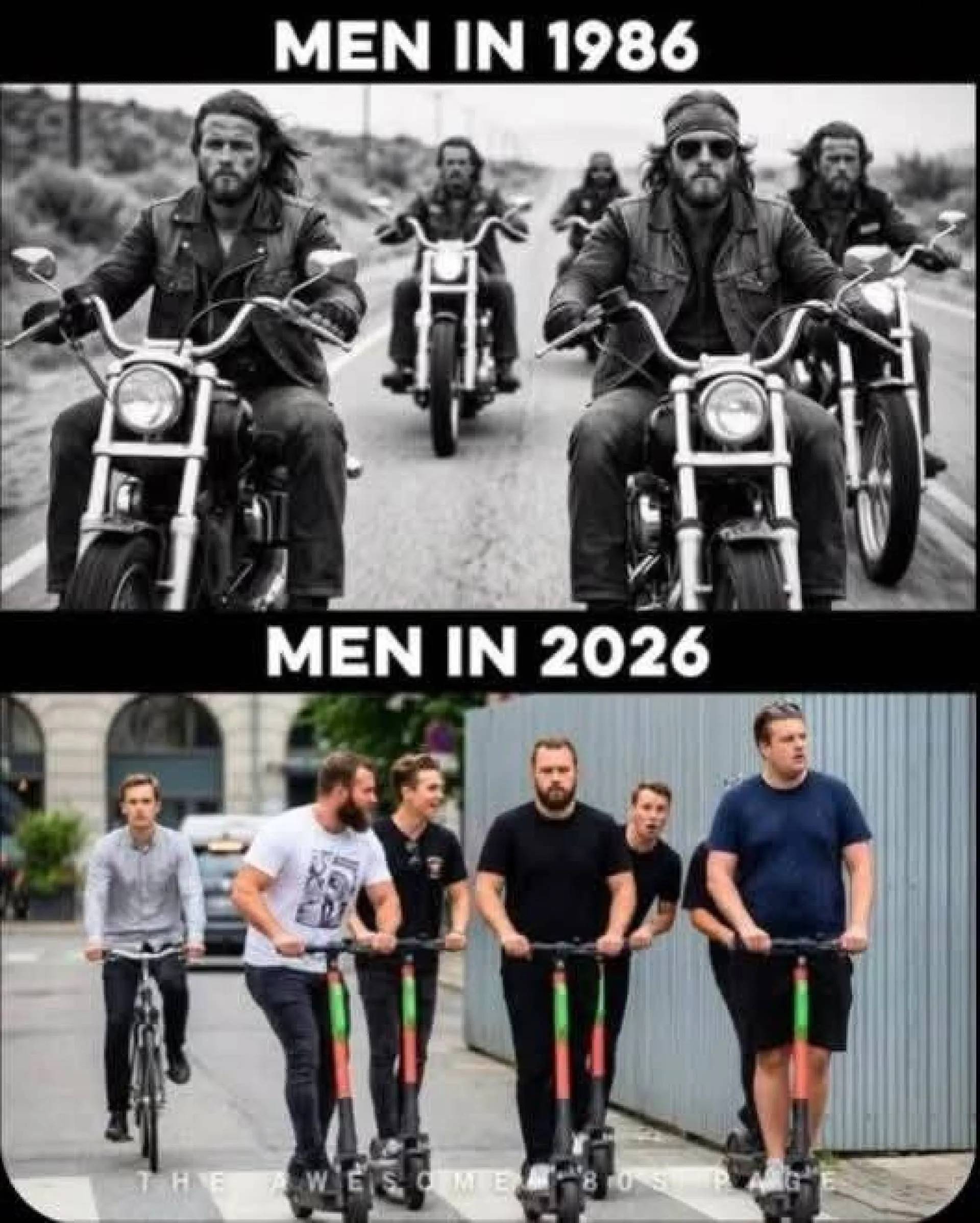 1986/2026