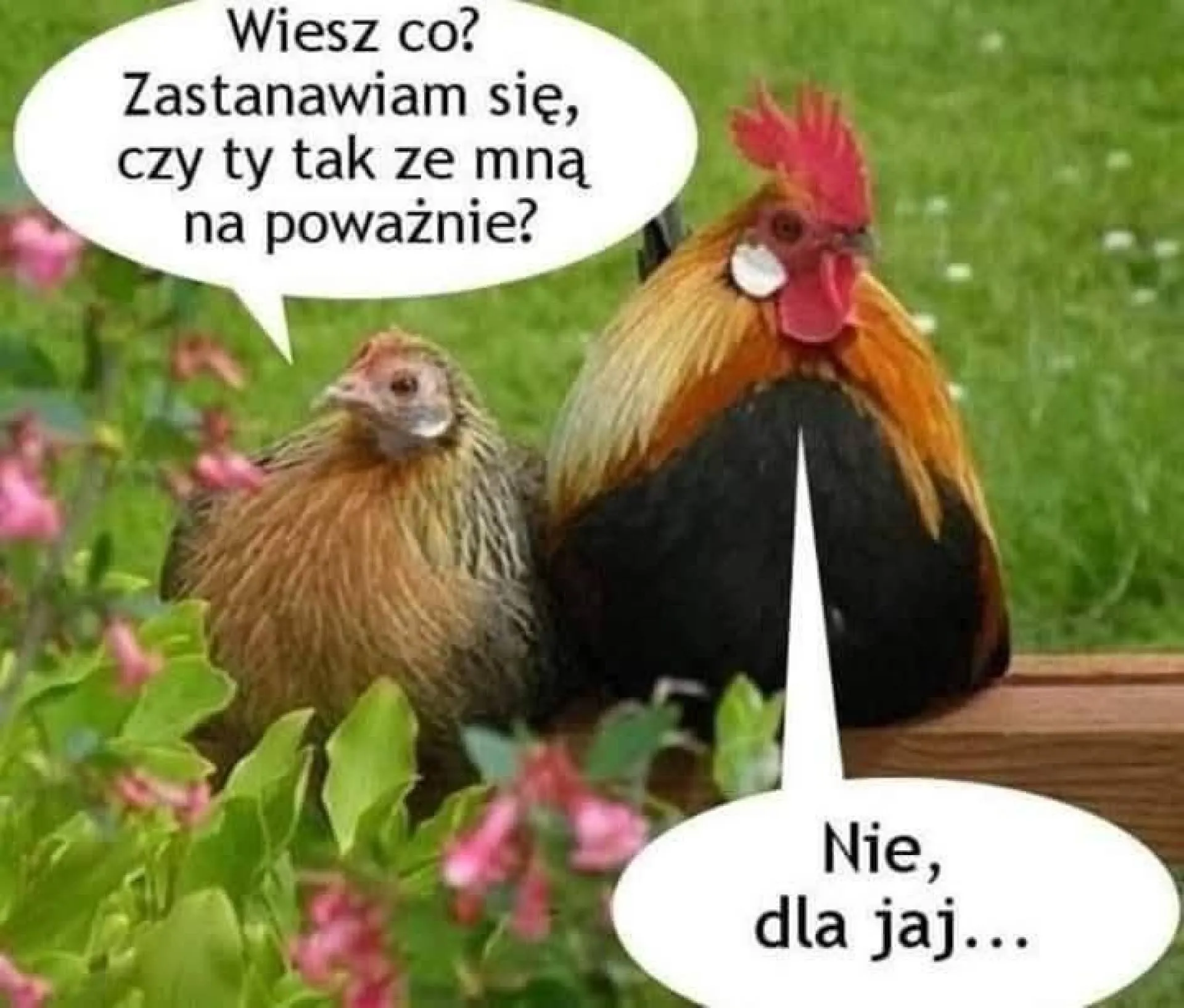 Na poważnie?