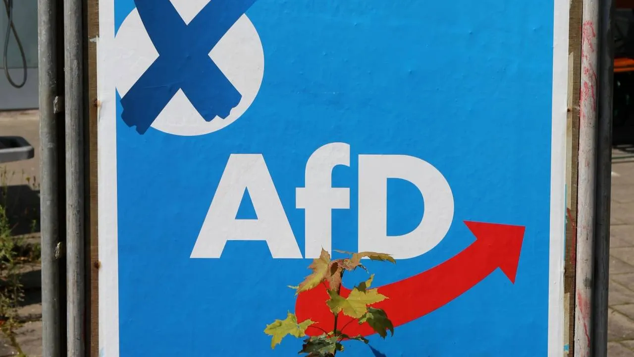 Historyczna zmiana w Niemczech. AfD wygrywa wybory w Saksonii-Anhlacie
