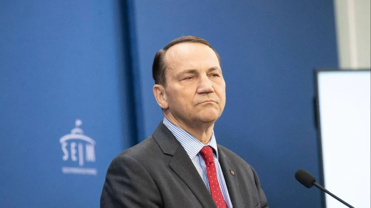 Sikorski chciał zabłysnąć wpisem o AfD i Steinbach. Przypomniano mu niewygodne fakty