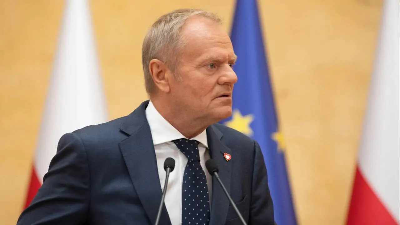 "Ten znów o AfD w Niemczech". Tusk chciał uderzyć w polską prawicę. Dostał mocne odpowiedzi