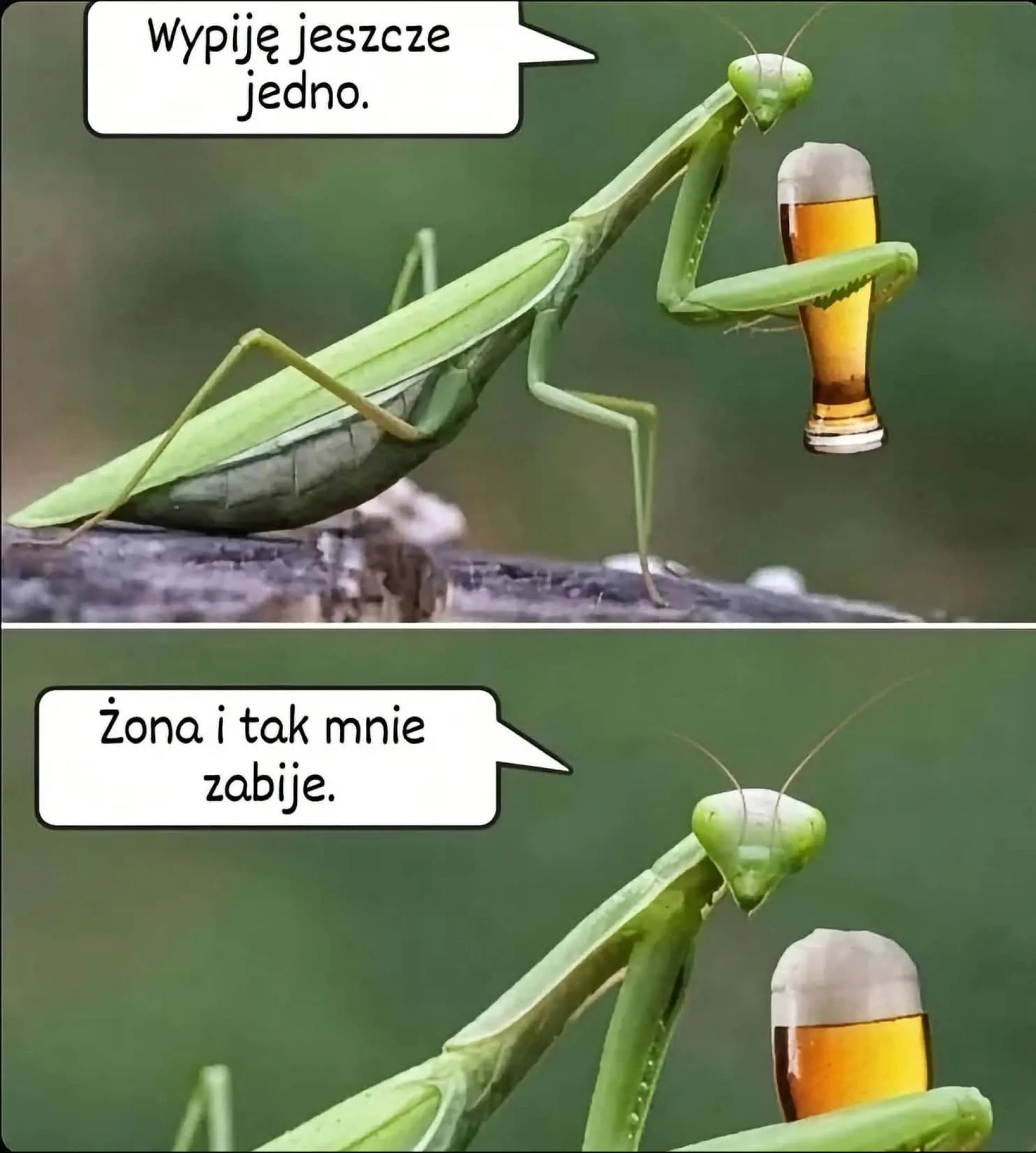 Raz się żyje