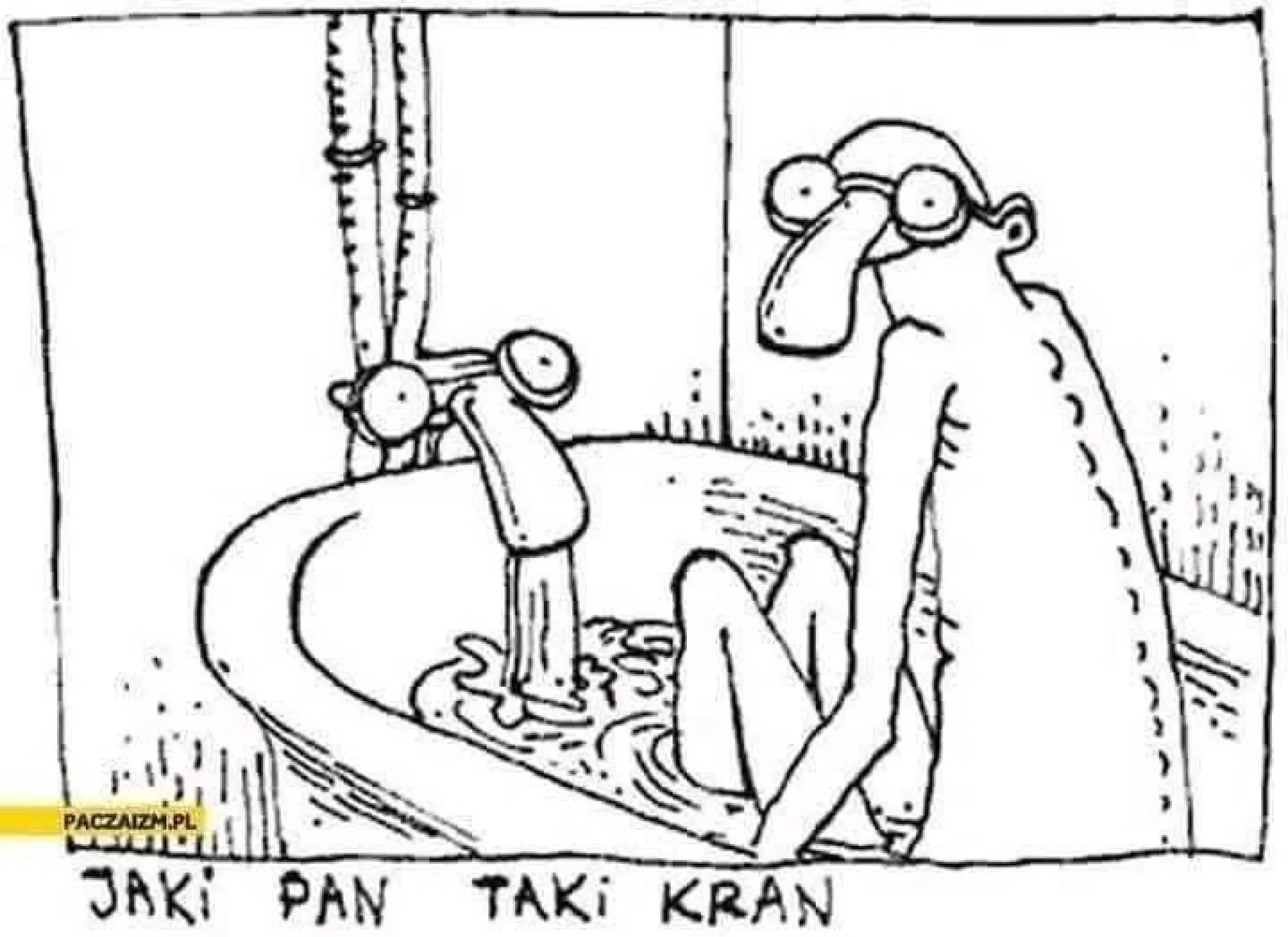 Jaki pan taki kran