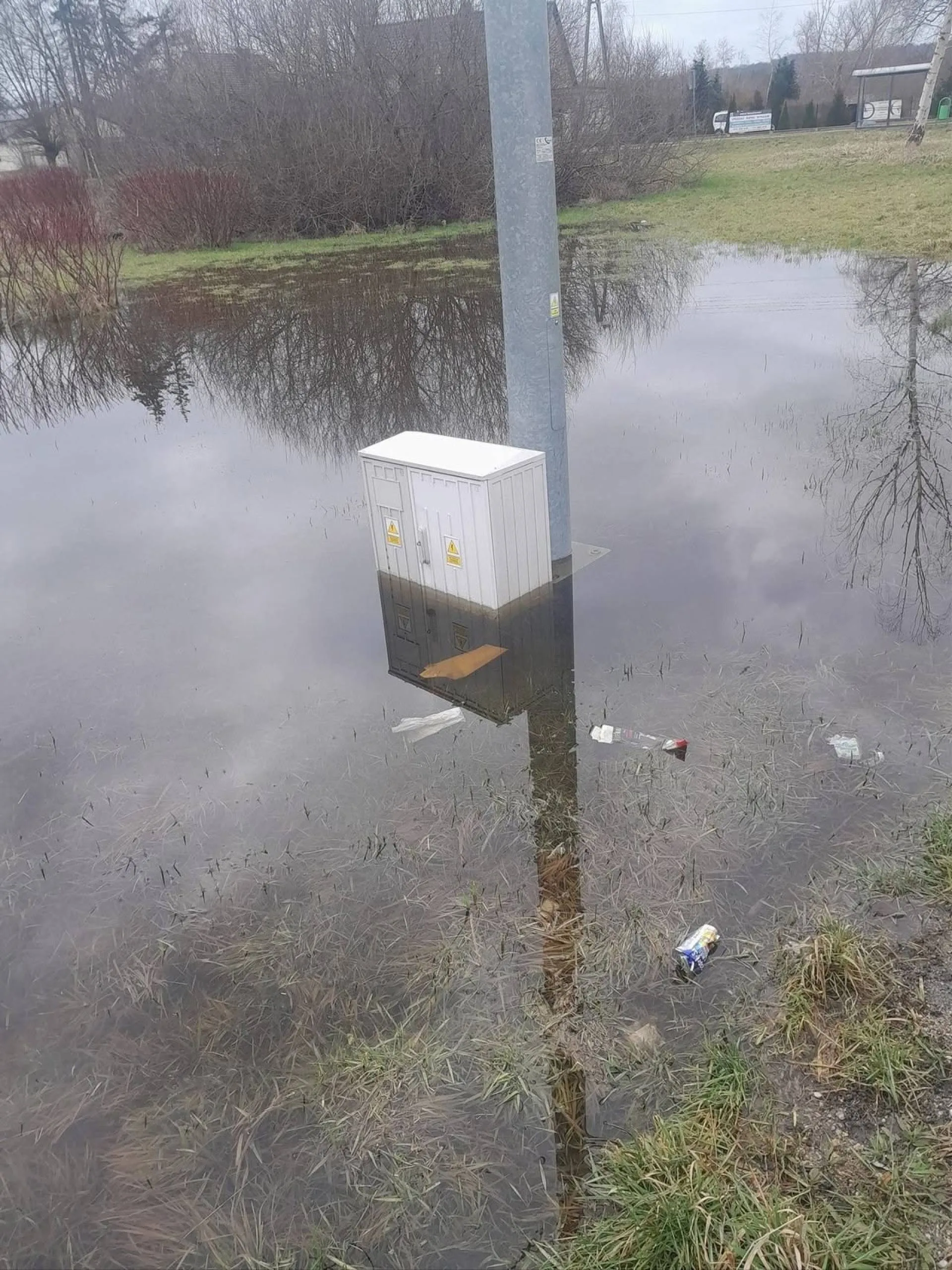 Jest problem