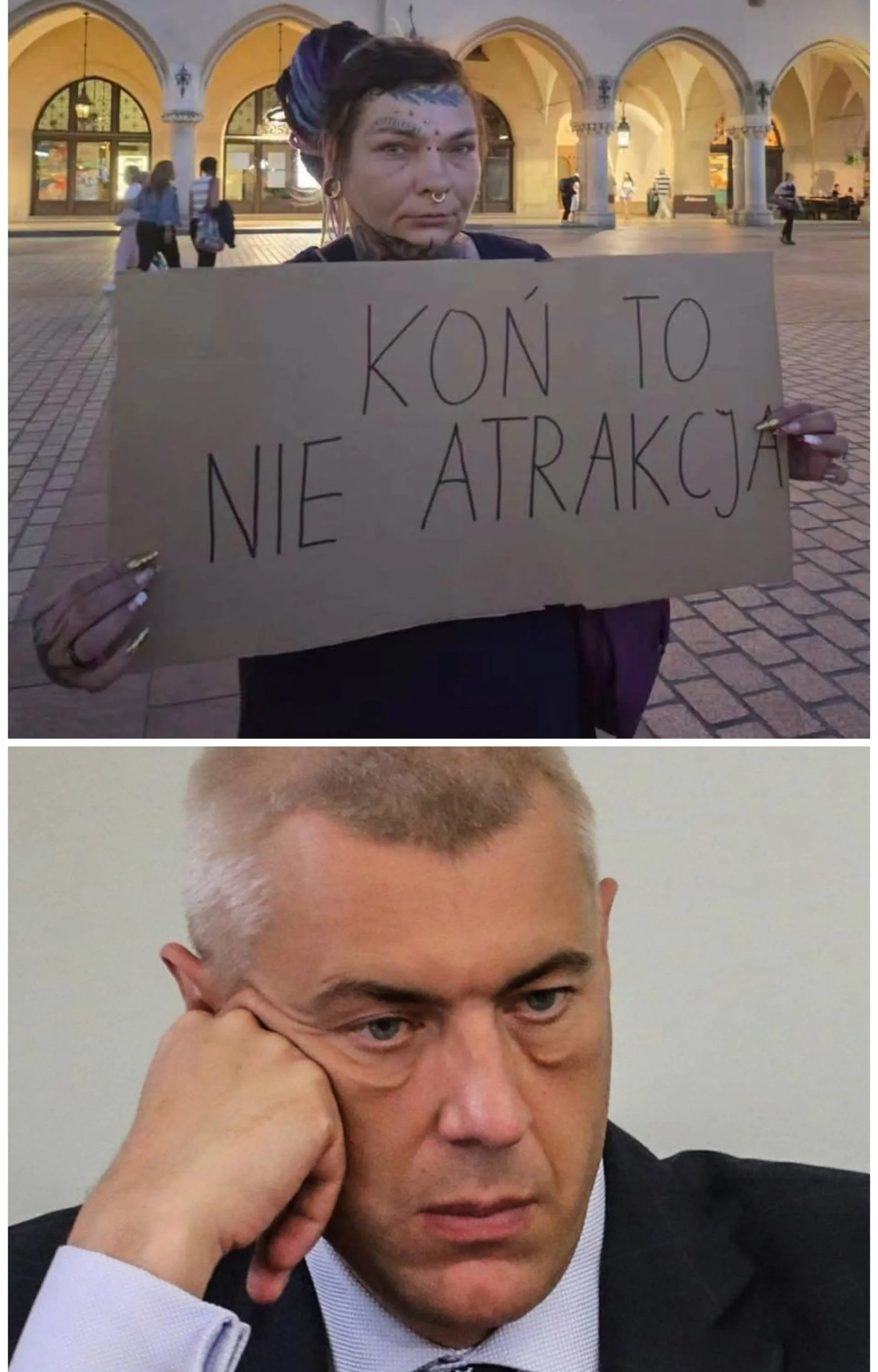 Koń